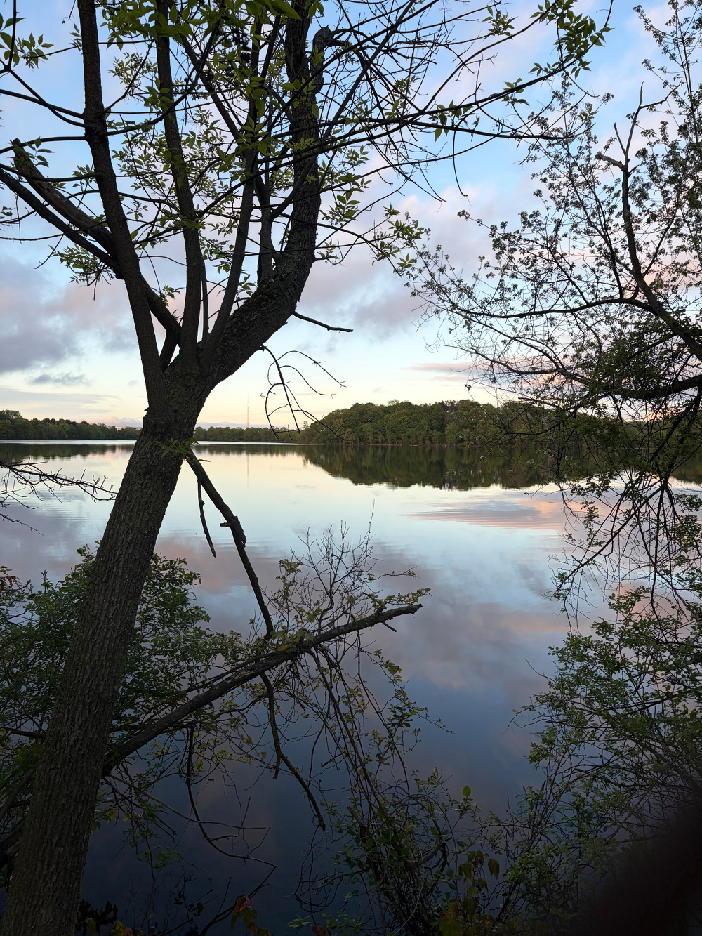 A shot across the reservoir of perfectly still water, verdant trees, sunset