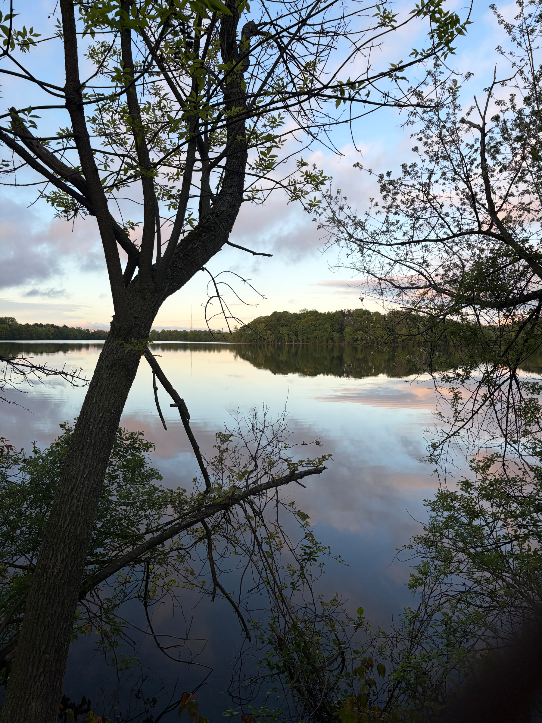 A shot across the reservoir of perfectly still water, verdant trees, sunset 