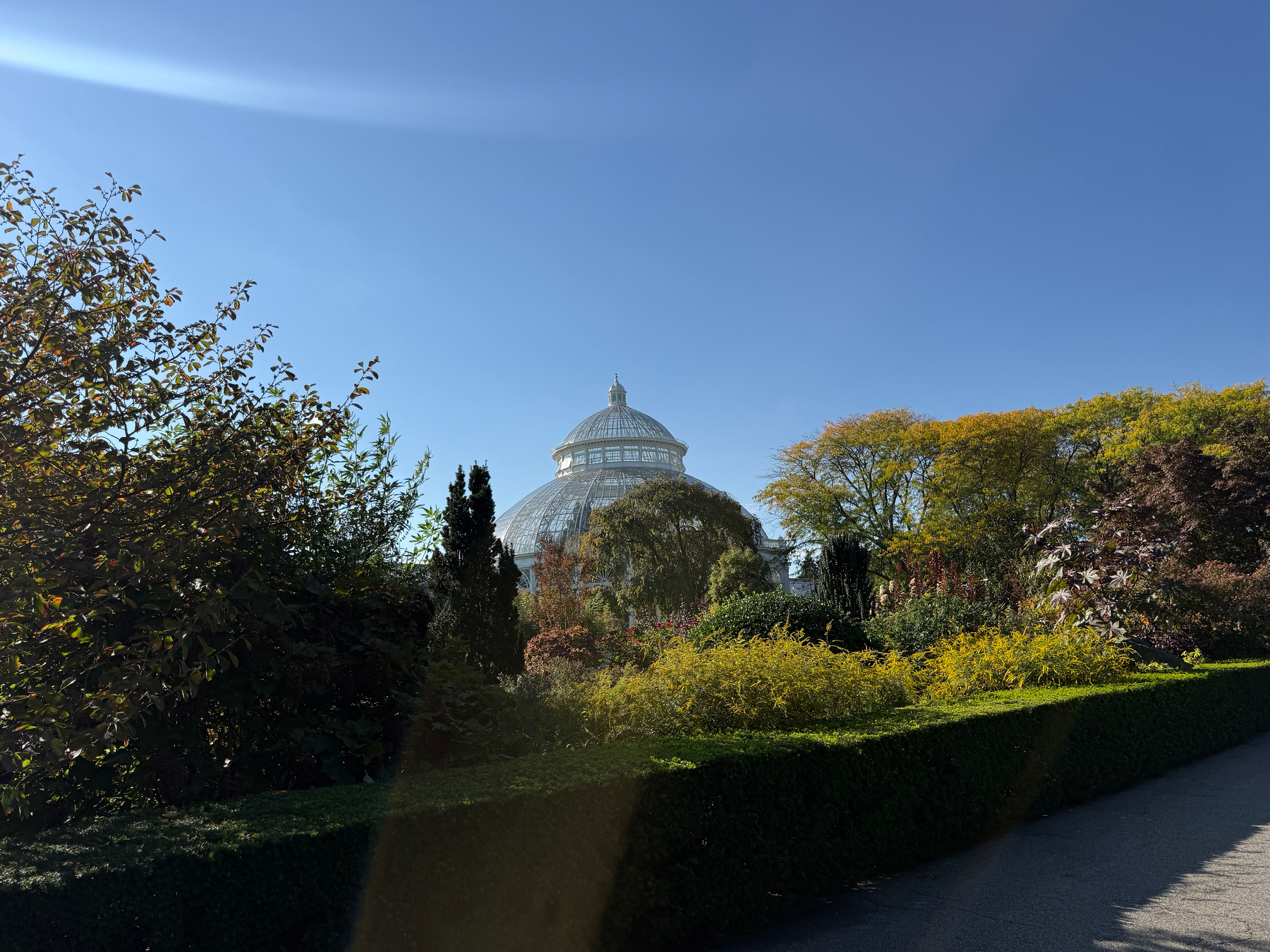 The lush green trees and rushing river in the impossibly serene botanical garden, hidden in the heart of the Bronx. 