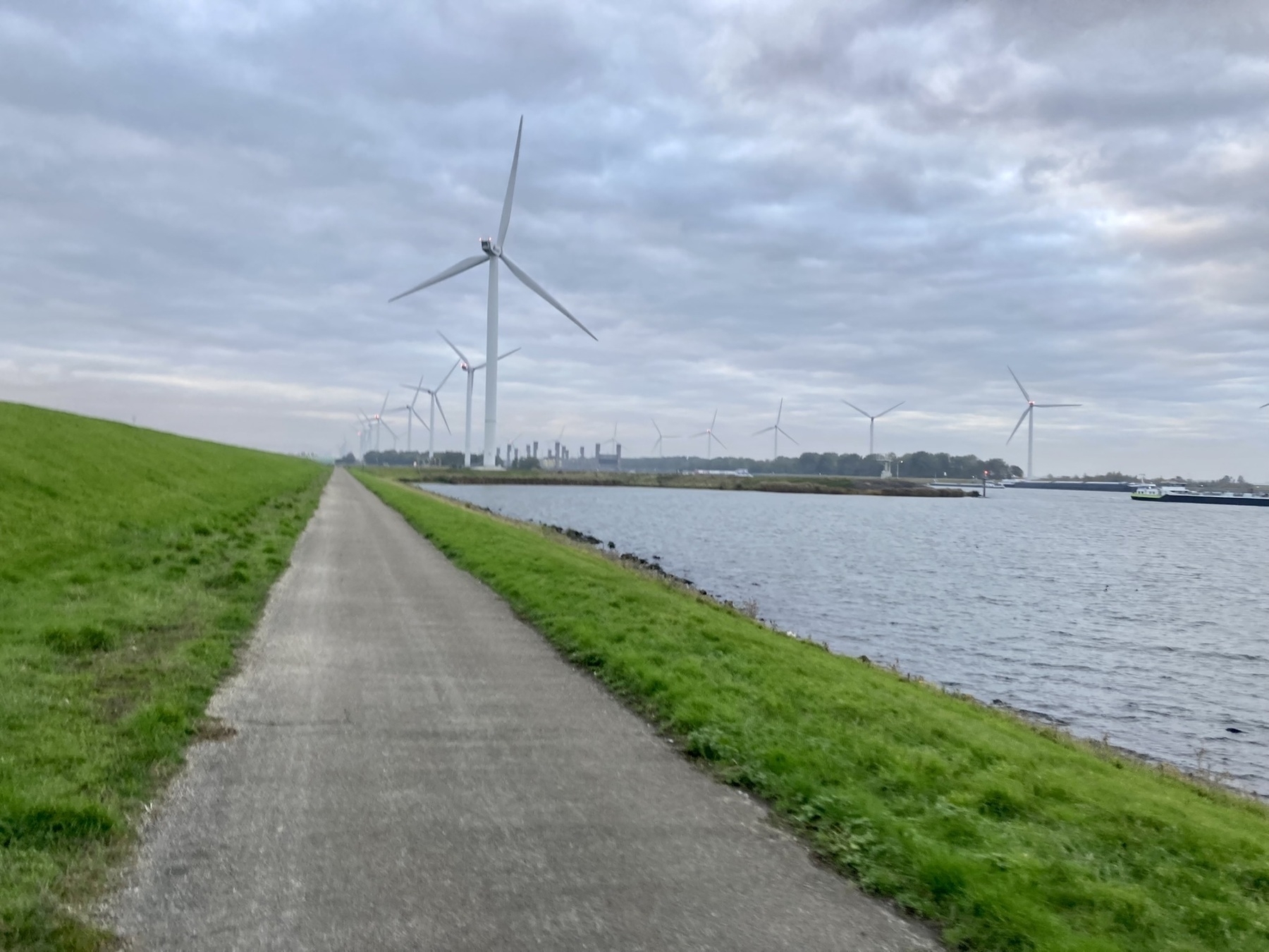 Straffe tegenwind langs het Schelde-Rijnkanaal.