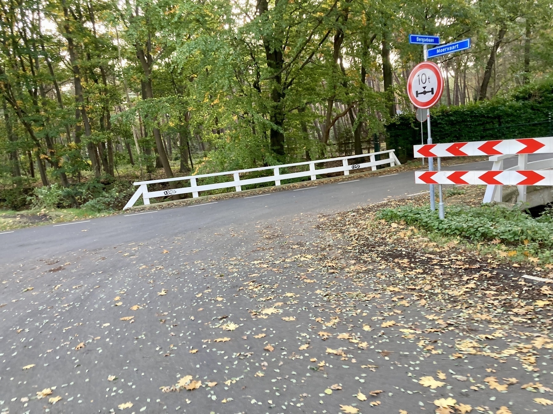 Een weg met een brug, een gewichtslimiet van 10 ton en richtingaanwijzers is omgeven door bomen en gevallen bladeren.