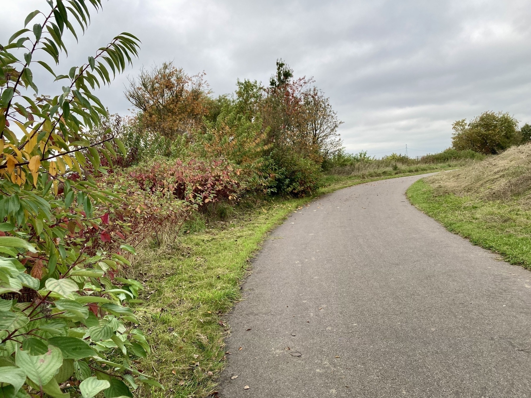 Een verharde weg buigt door een grasveld met struiken en bomen onder een bewolkte lucht.