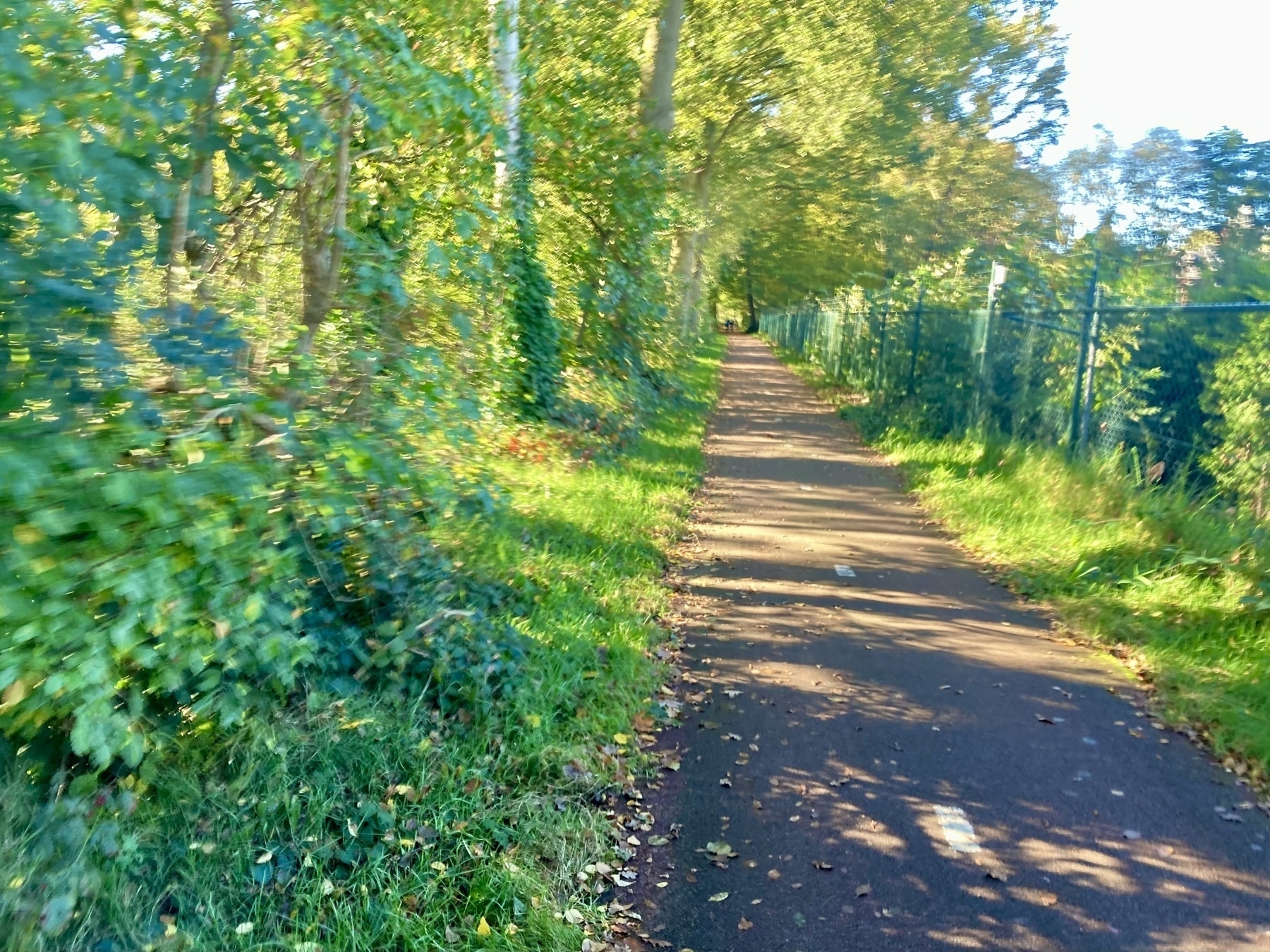 Een zonnig pad omzoomd met bomen en groen strekt zich uit in de verte, begrensd door een hek aan één kant.