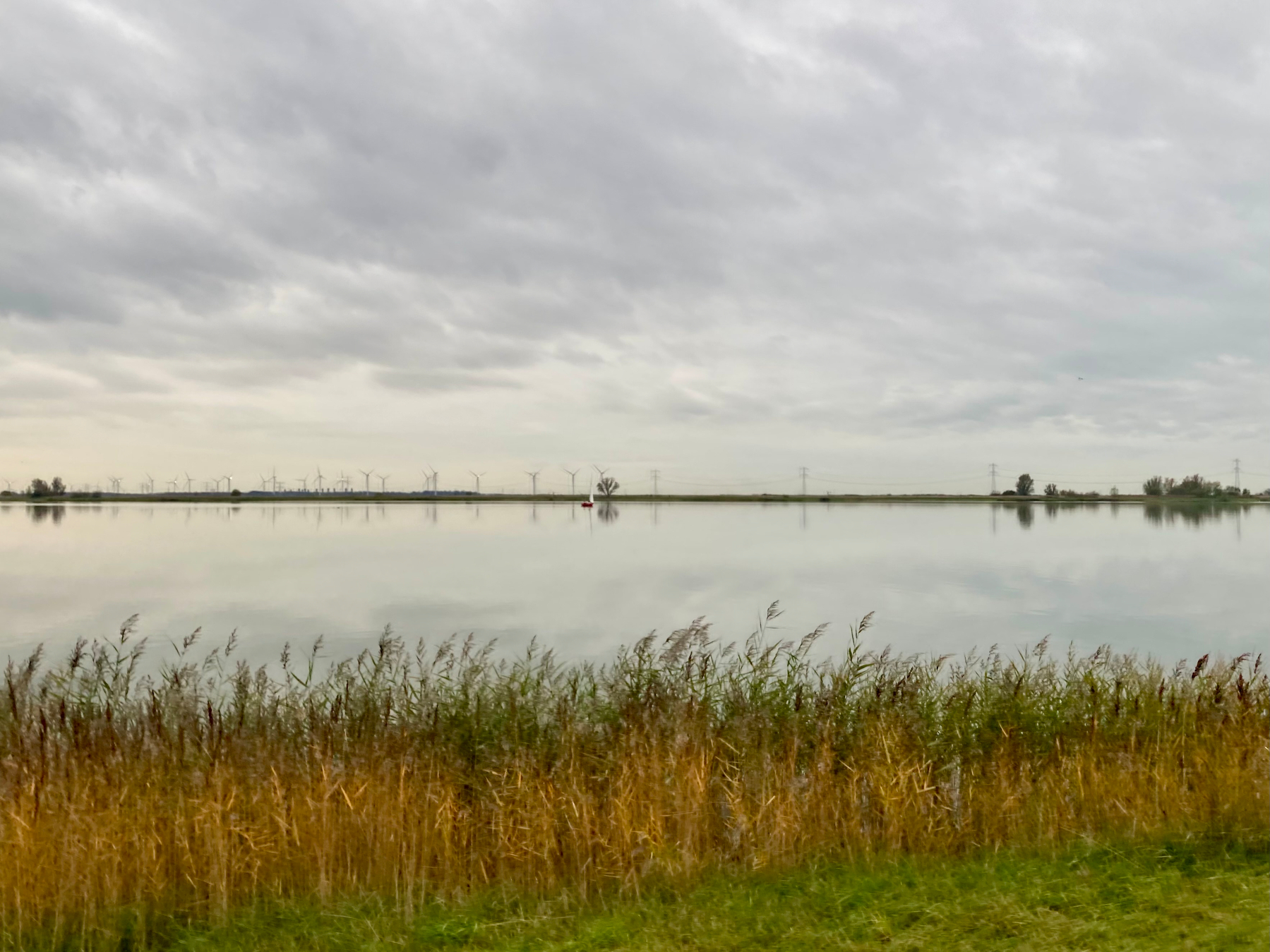 Een sereen landschap aan het meer met hoog gras op de voorgrond en windturbines in de verte onder een bewolkte hemel.
