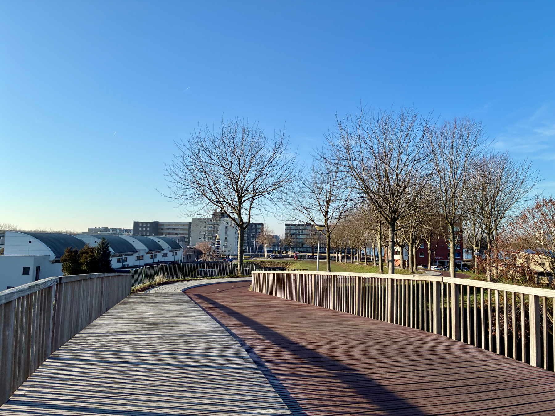 Een loopbrug met houten vloeren en leuningen buigt door een gebied met bladloze bomen, met gebouwen die op de achtergrond zichtbaar zijn tegen een heldere blauwe lucht.