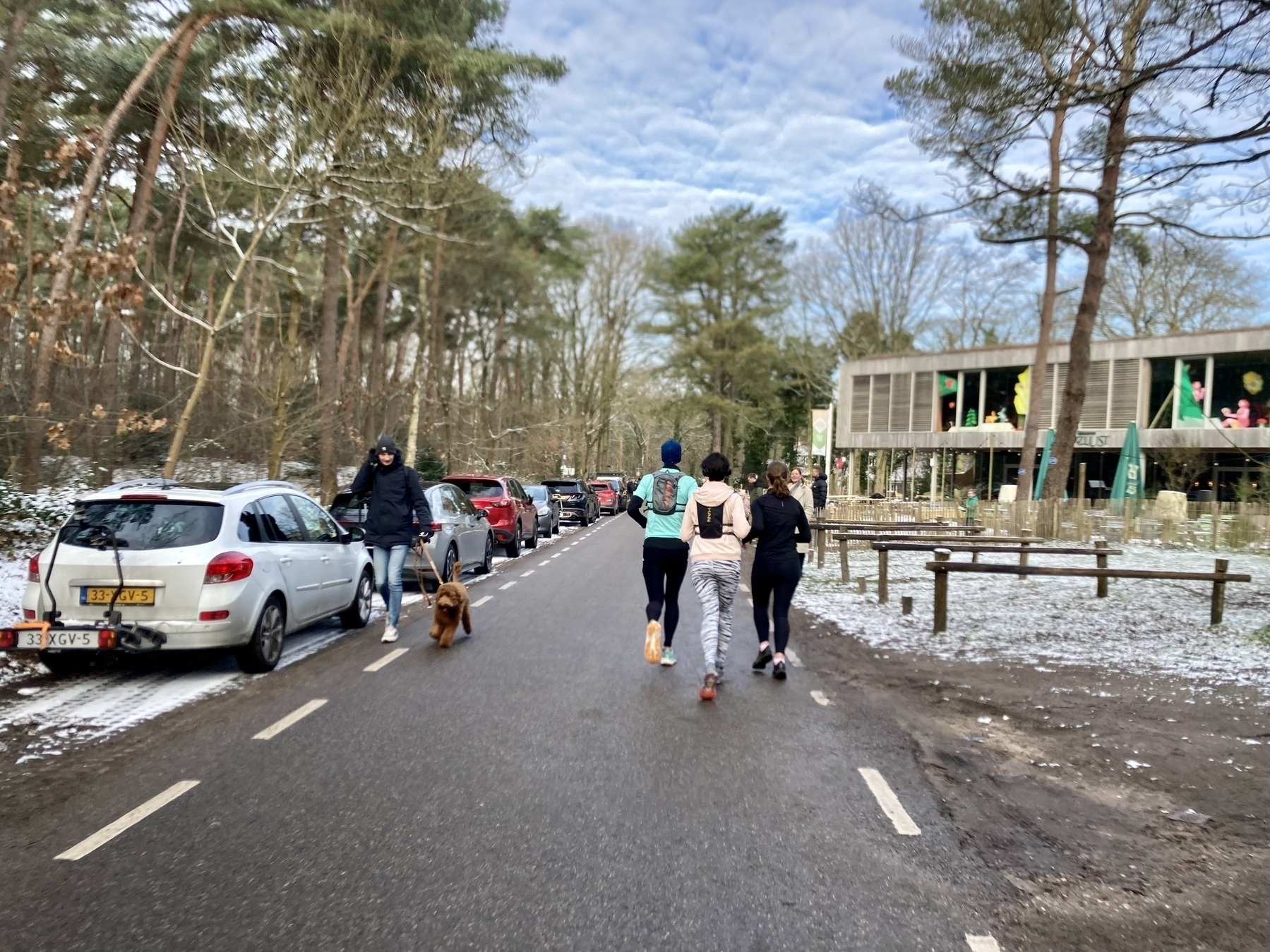 Drie mensen joggen op een weg naast geparkeerde auto's en bomen, met een persoon die een hond in de buurt uitlaat en een gebouw op de achtergrond.