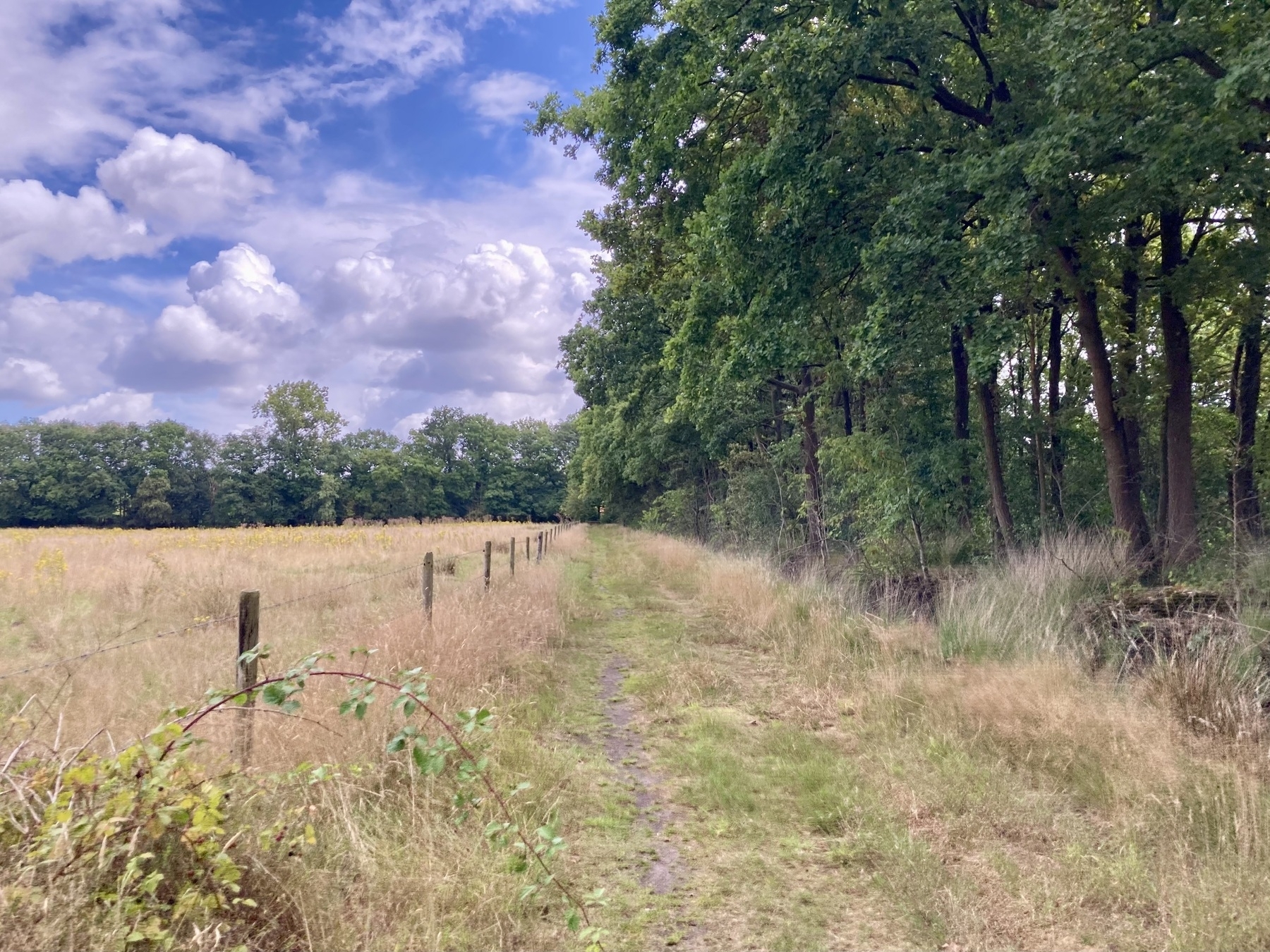 Een smal pad loopt langs een veld dat wordt begrensd door houten palen en een rij bomen onder een deels bewolkte lucht.