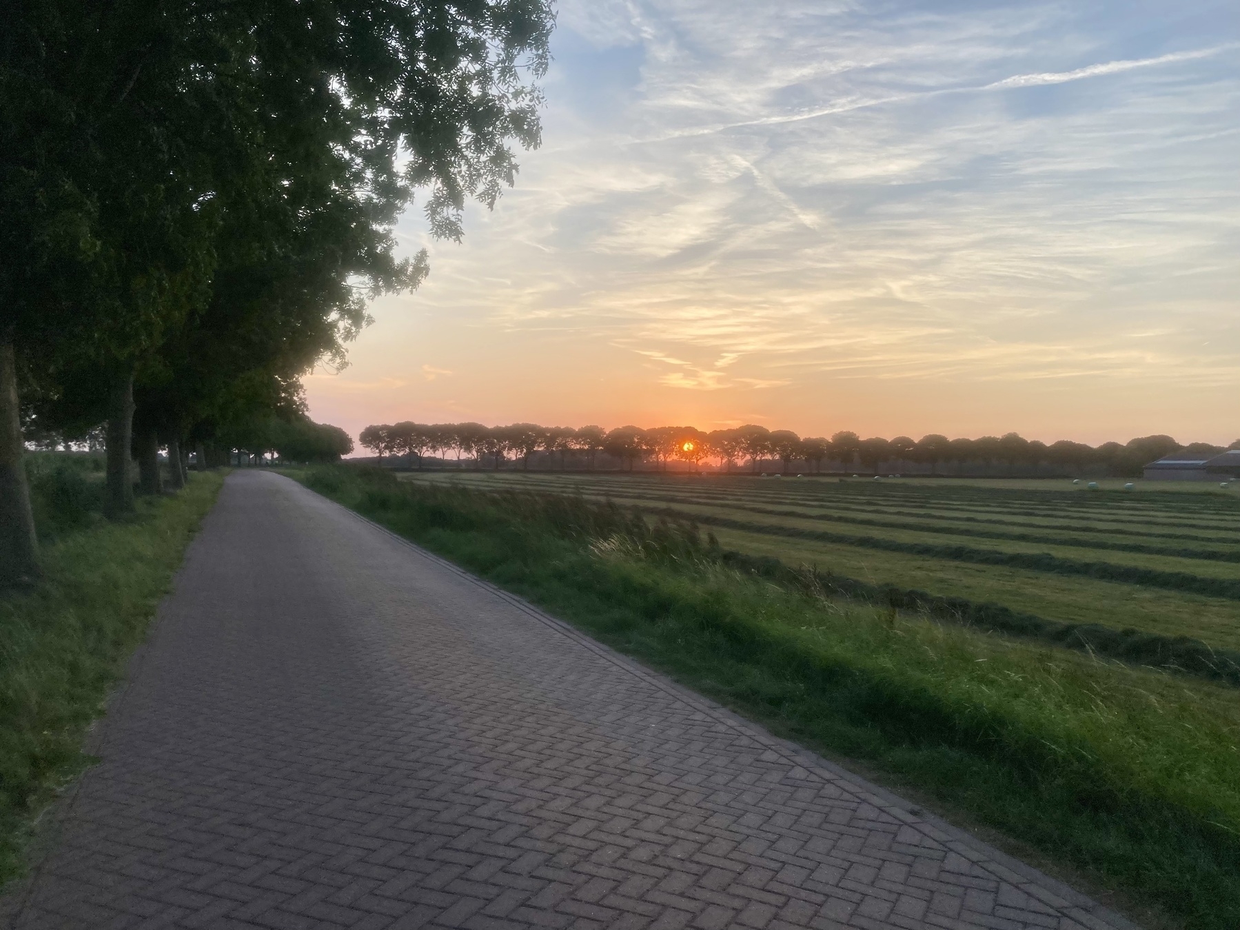 Een vredige zonsondergangscène toont een met bomen omzoomd pad naast open velden onder een lucht met verspreide wolken.