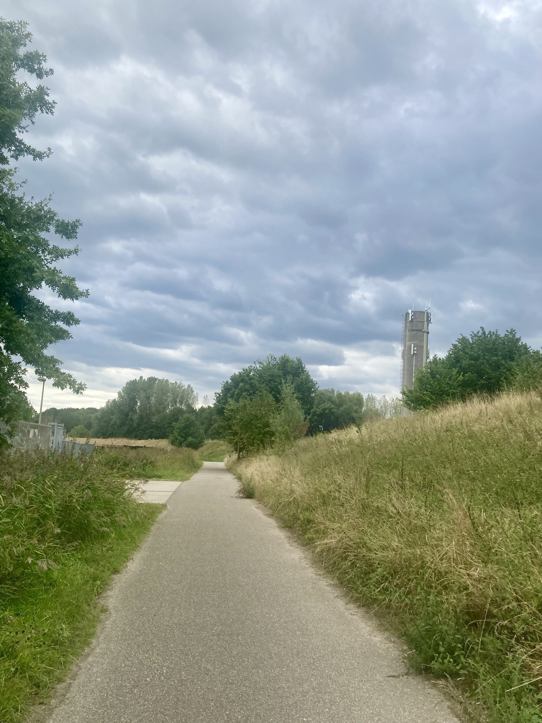 Een smal pad leidt door een graslandschap met bomen aan weerszijden en een hoge toren die zichtbaar is onder een bewolkte lucht.