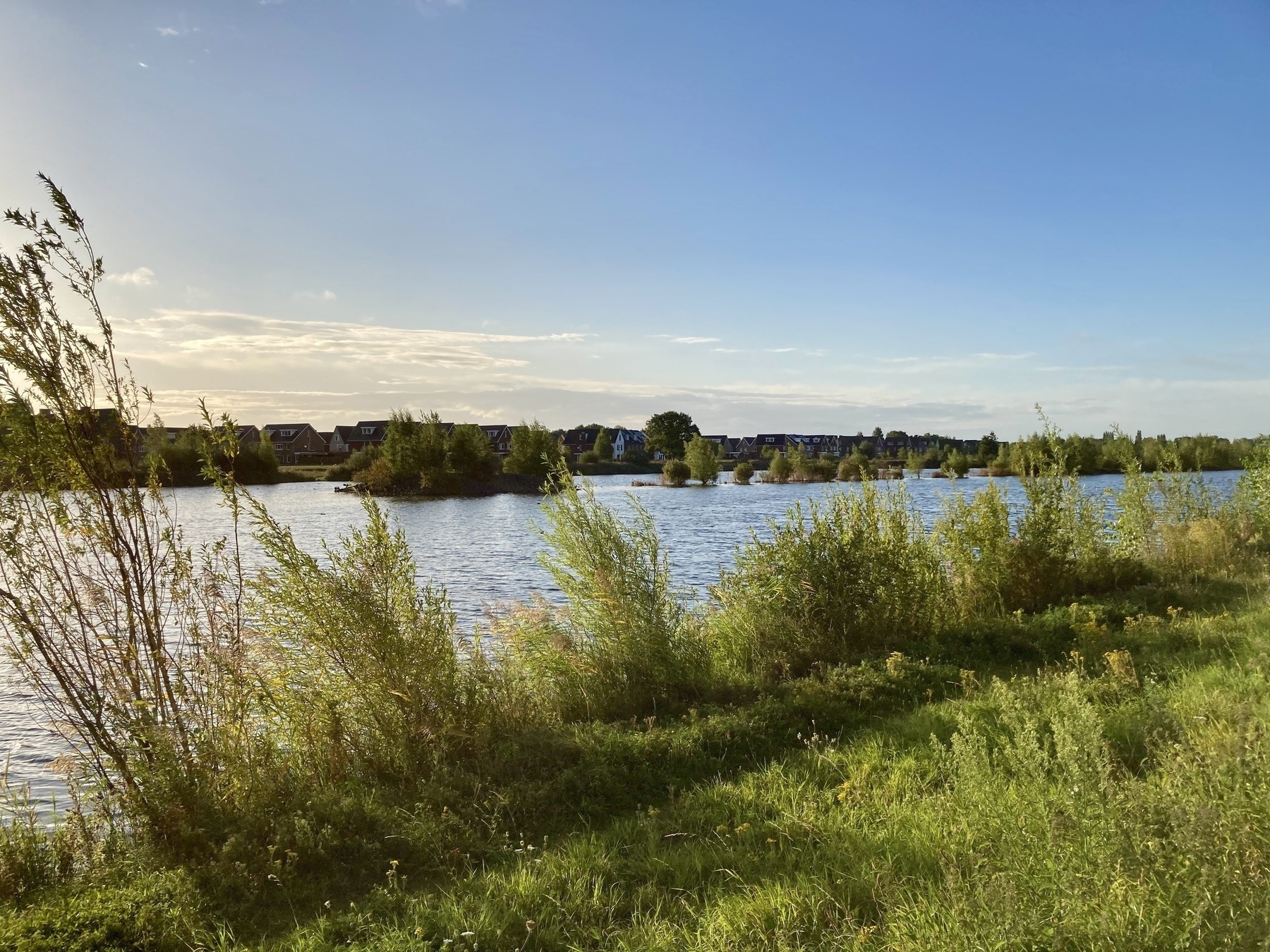 Een sereen meer verfraaid door weelderig groen op de voorgrond en huizen langs de horizon onder een heldere blauwe lucht.
