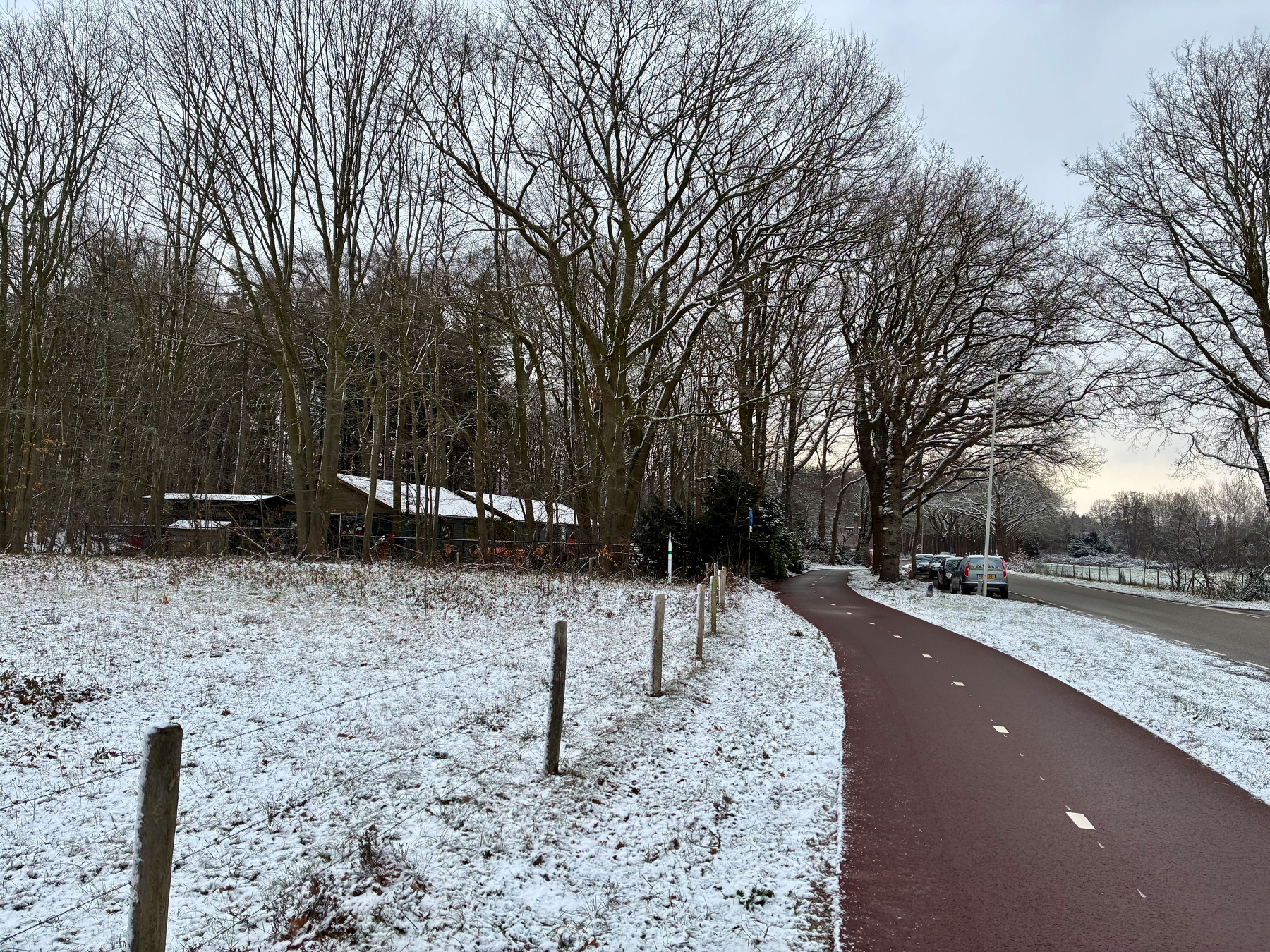 Een met sneeuw bestuifd landschap heeft een kronkelend rood pad langs bladloze bomen en beboste gebieden.