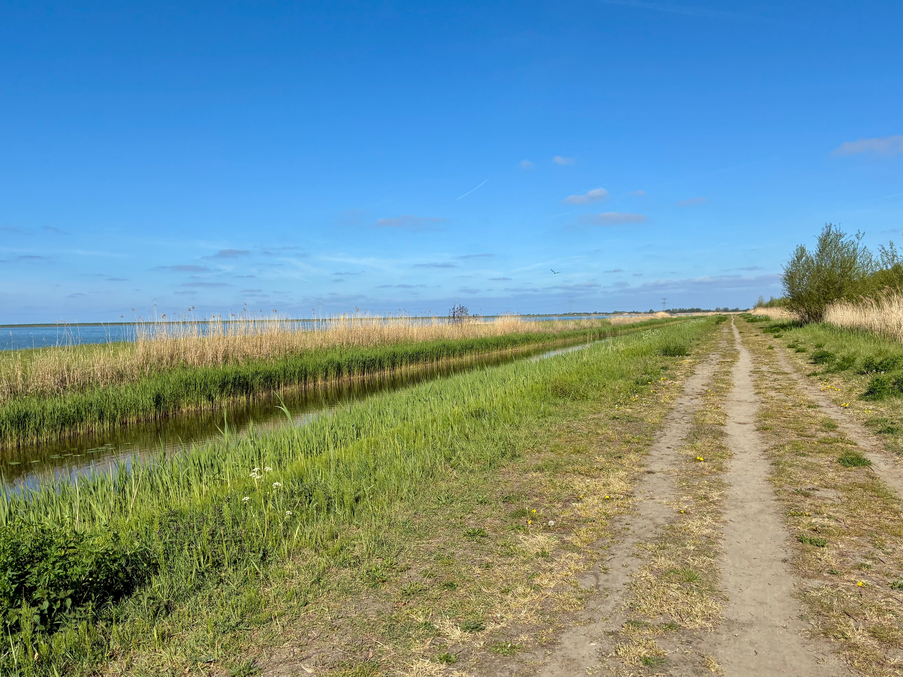 Een graspad loopt langs een smalle waterweg met hoog riet onder een heldere blauwe lucht.