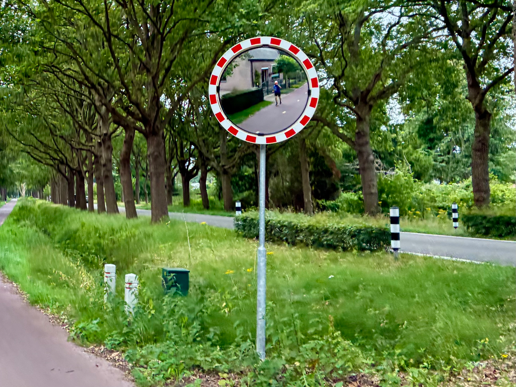 Een convexe verkeersspiegel die op een paal is gemonteerd, weerspiegelt een persoon die langs een met bomen omzoomd pad loopt naast een weg.