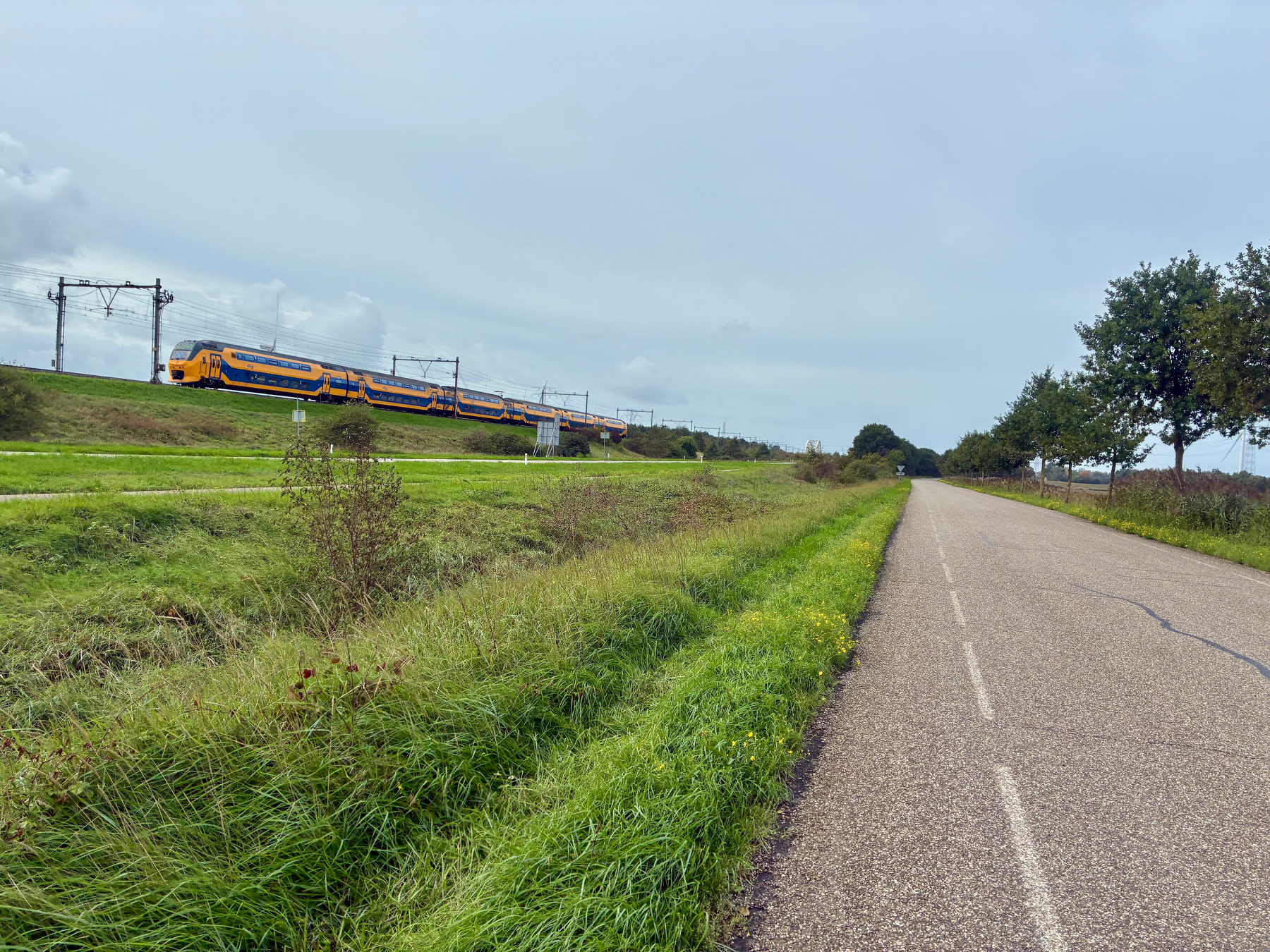 Een gele en blauwe trein rijdt op sporen die boven een grasveld zijn verheven naast een verharde weg omzoomd met bomen onder een bewolkte lucht.