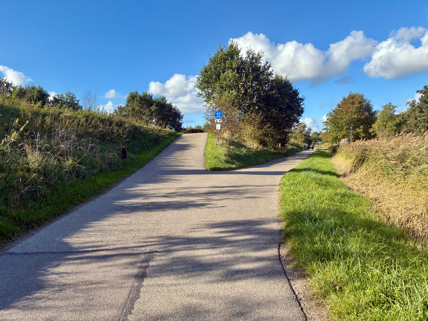 Een verhard gesplitst pad omgeven door gras- en beboste gebieden onder een gedeeltelijk bewolkte blauwe lucht is te zien.