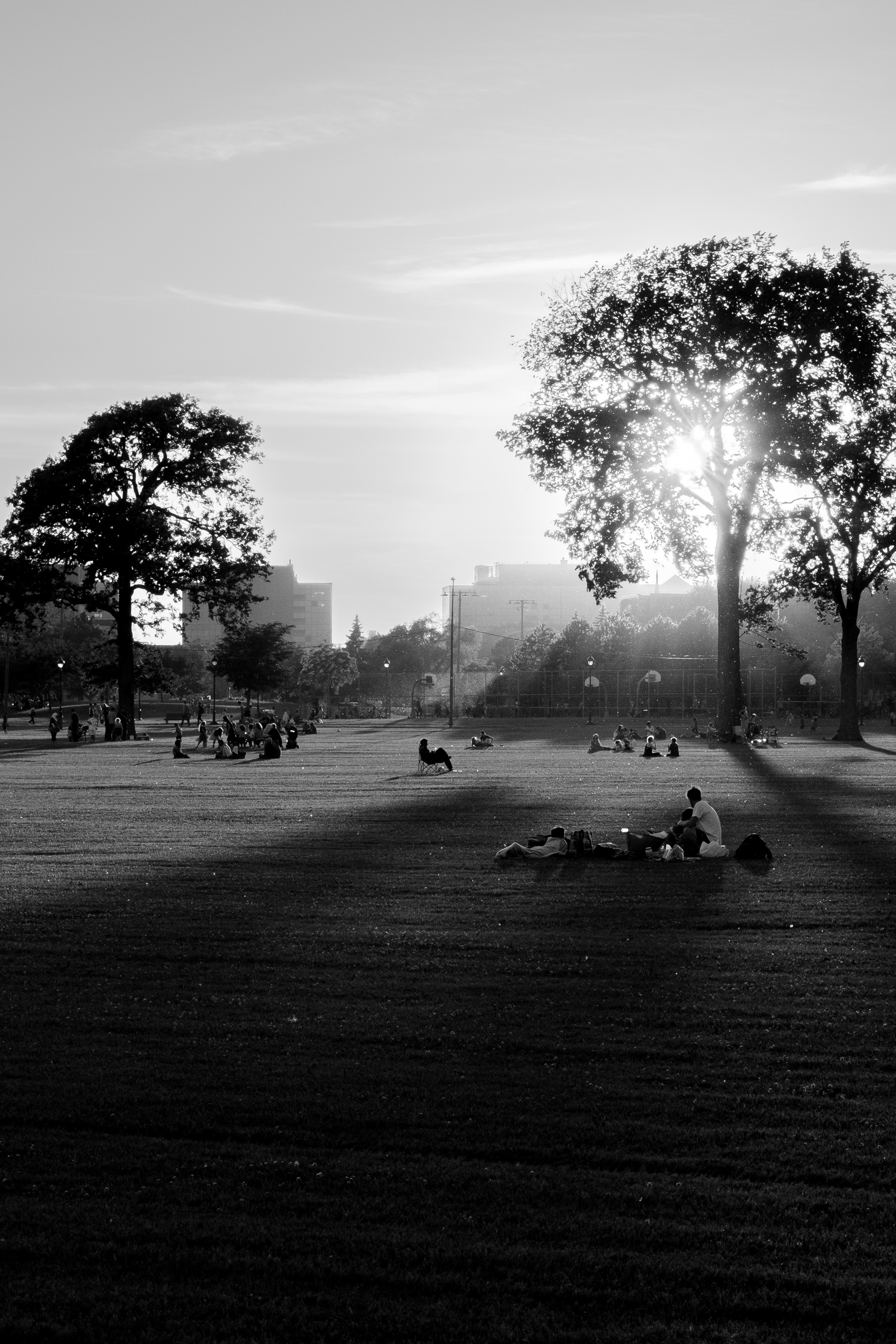 The shadows in the park are so sharp they’re almost geometric shapes. A man sits in a chair in the middle of the park.