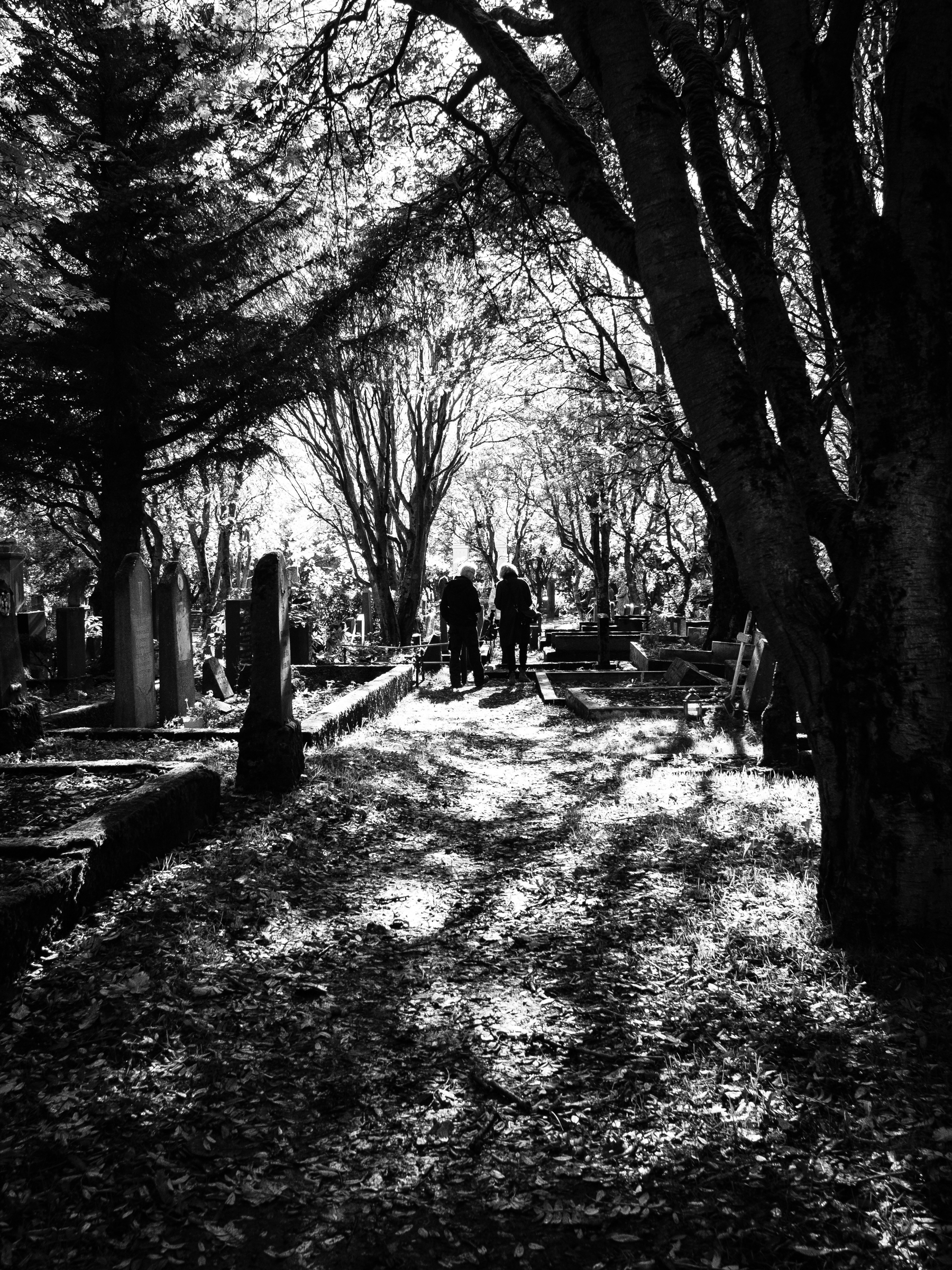 Two people stand in a cemetary filed with trees and the shadows of their branches.