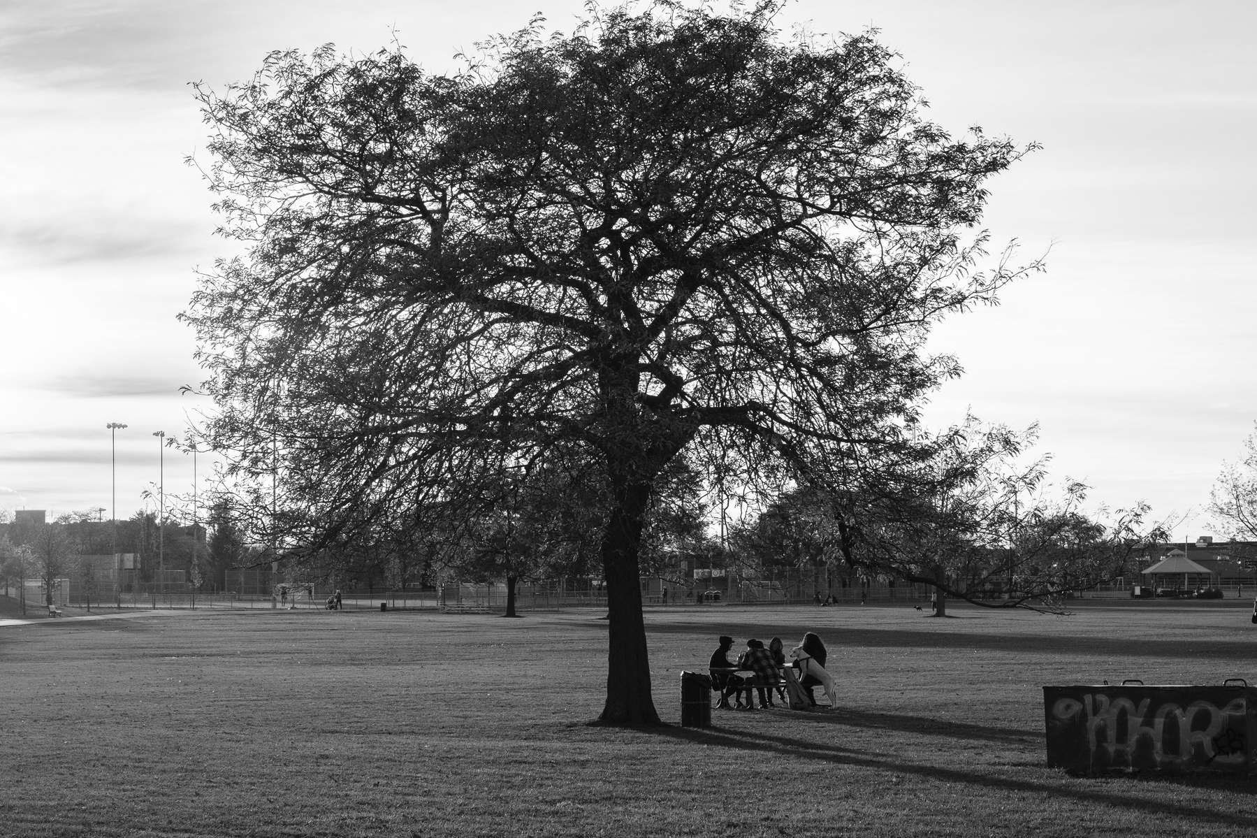 A goup of people sit by a table under a tree in Parc Jarry.
