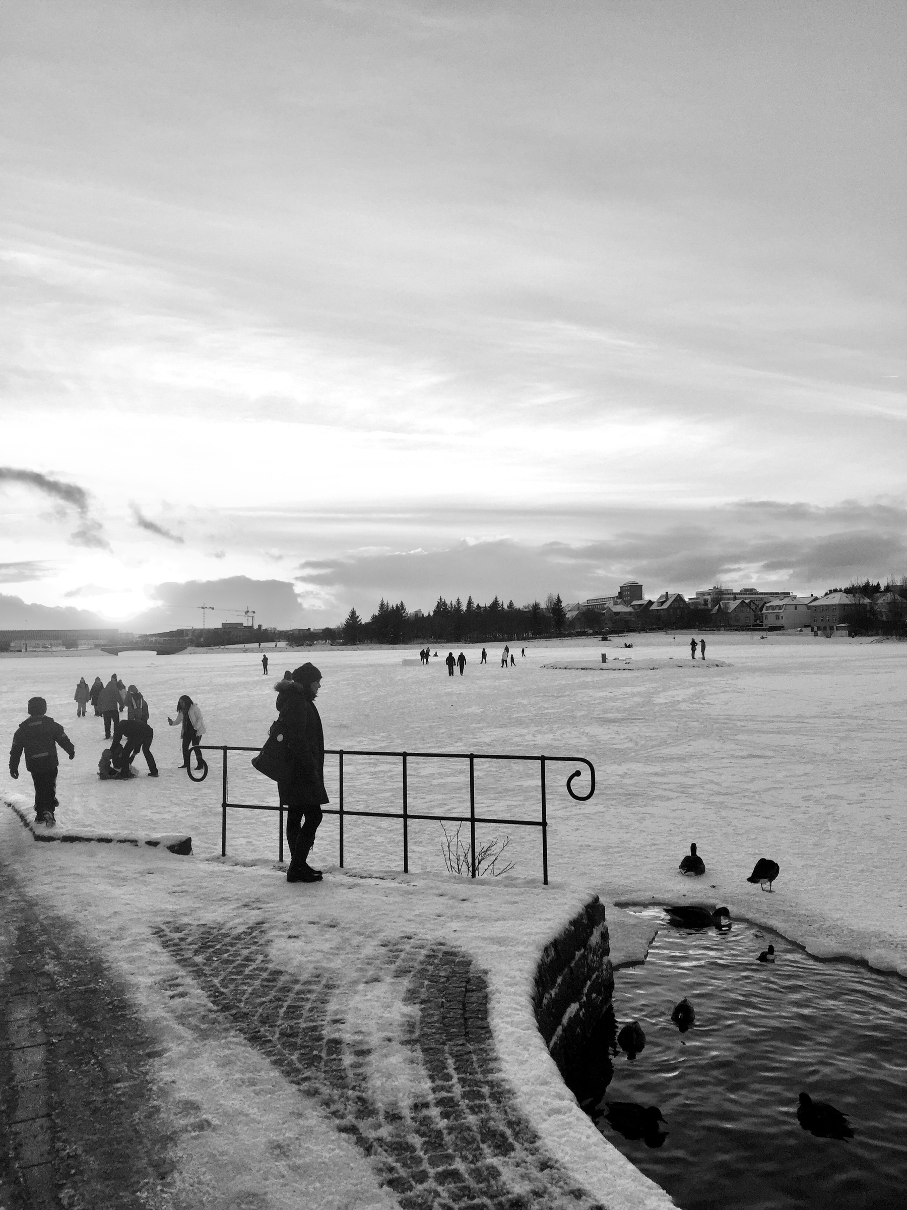 A photo of people by the pond in Reykjavík city centre. The pond is frozen solid.