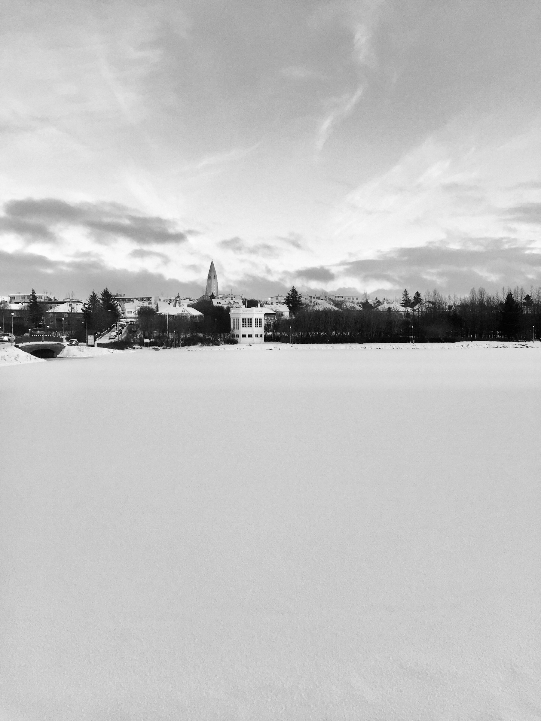A view over the frozen pond in Reykjavík. You can see Hallgrímskirkja in the distance.