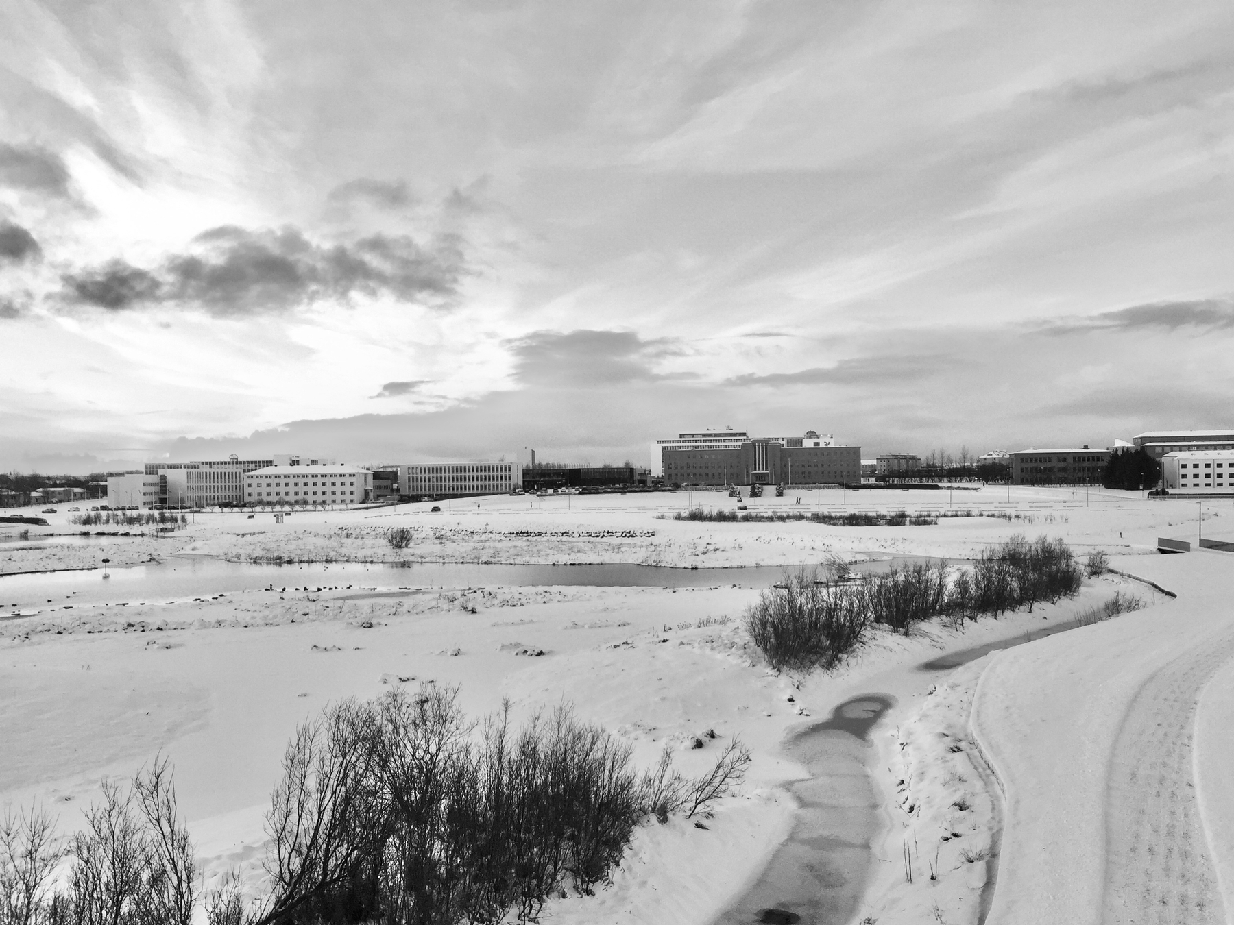 A winter view of the wetlands that’s next to Reykjavík airport.