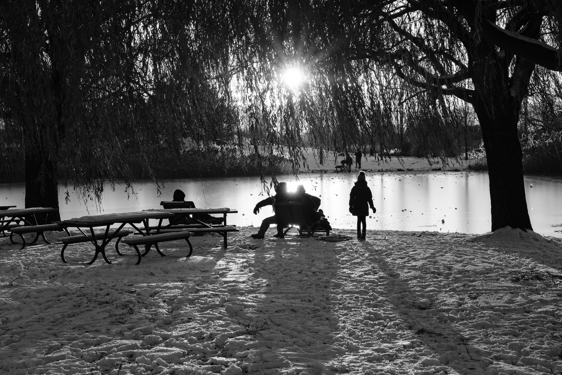 A family in silhouette looks out over the frozen pond in Parc Jarry.