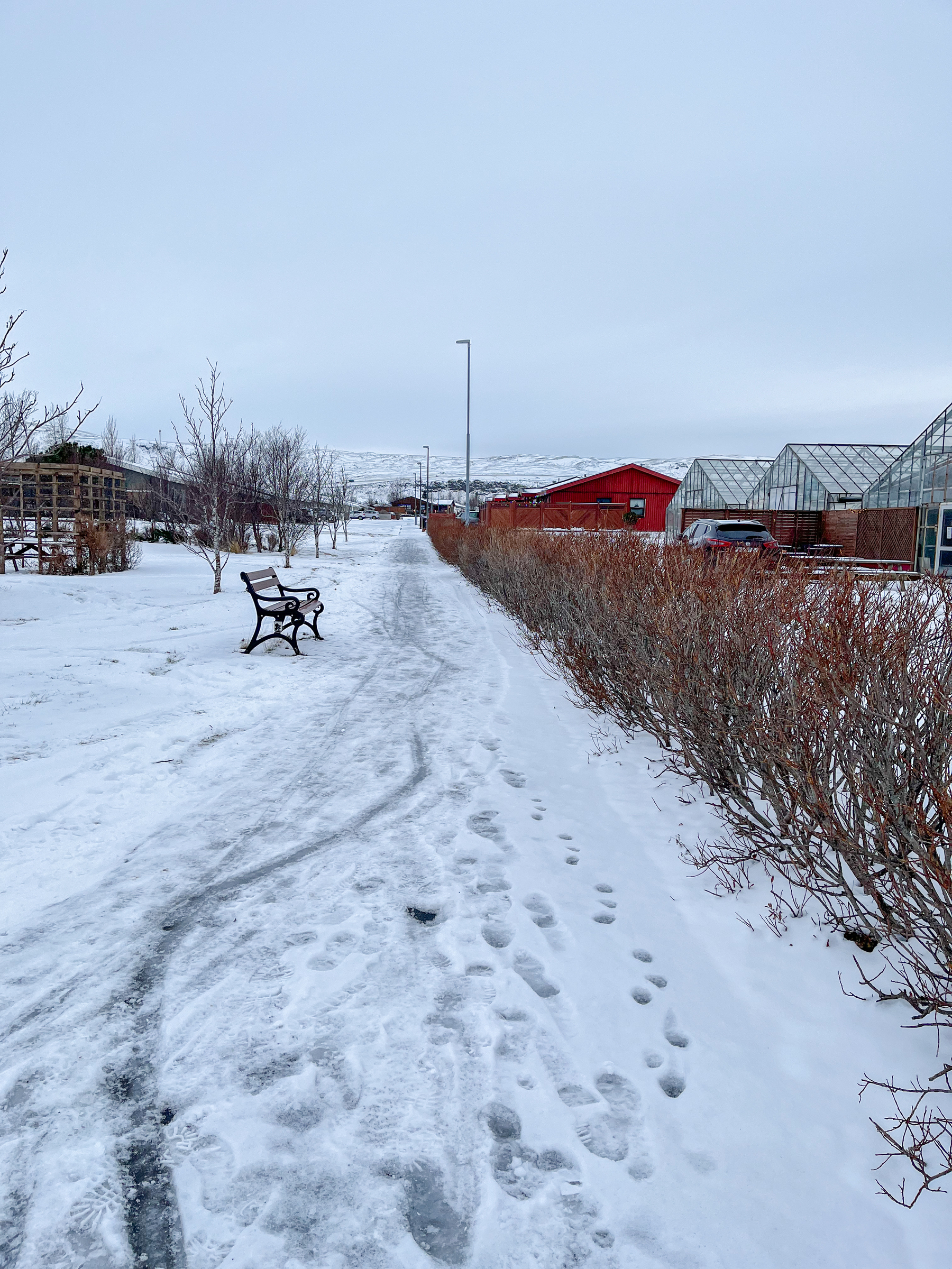One of the paths in Hveragerði. Past a bench. In snow. 