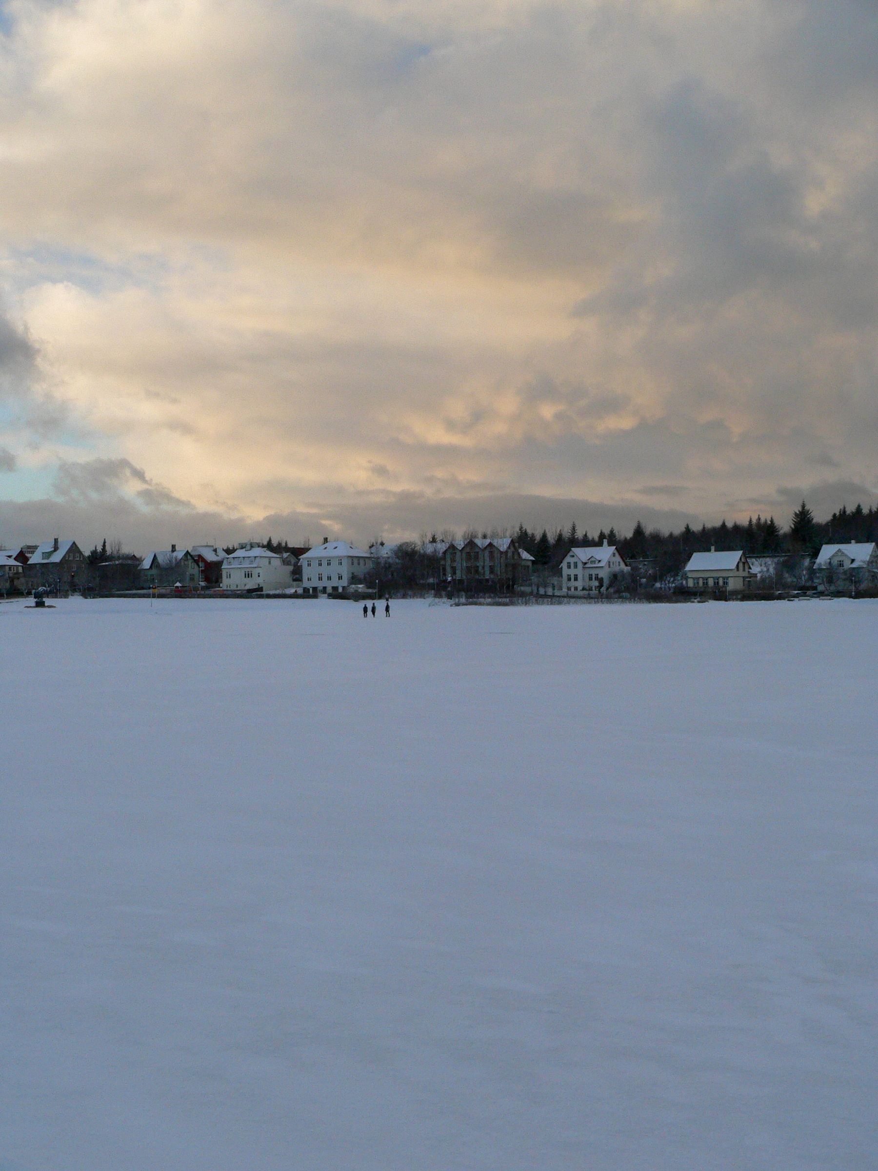 The frozen over pond in Reykjavík city centre