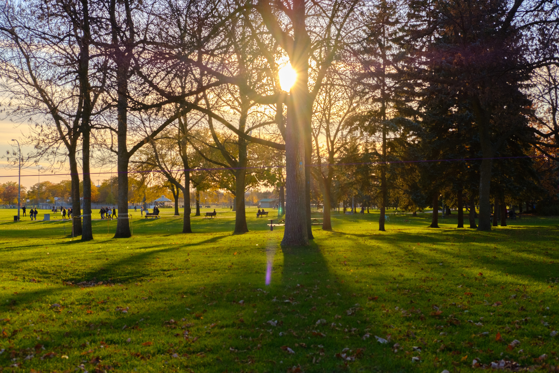 The sun sets on an autumnal Parc Jarry. The trees cast impossibly long shadows and we see people dot the park.