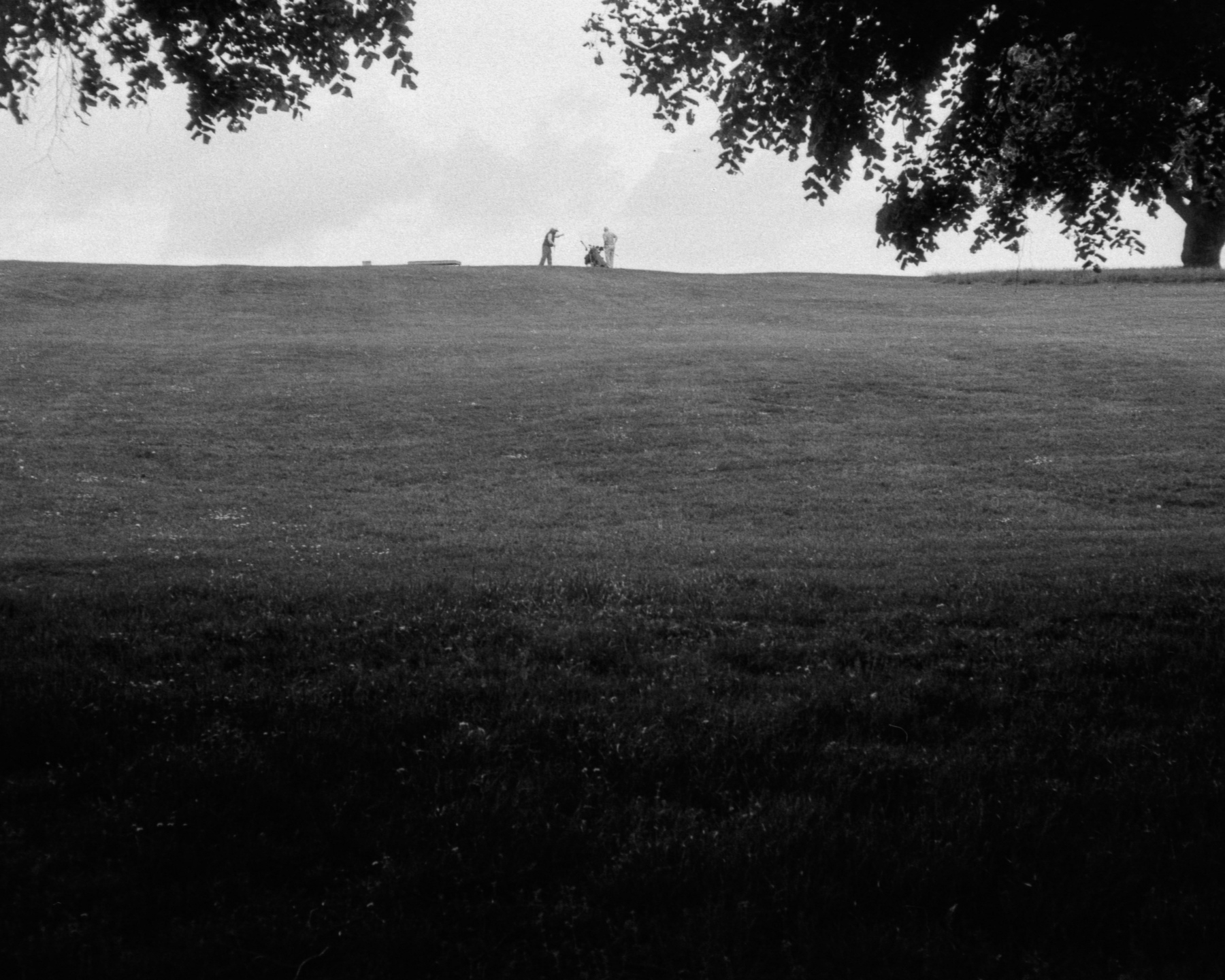 Two men playing golf in the distance in Ashton Court, Bristol
