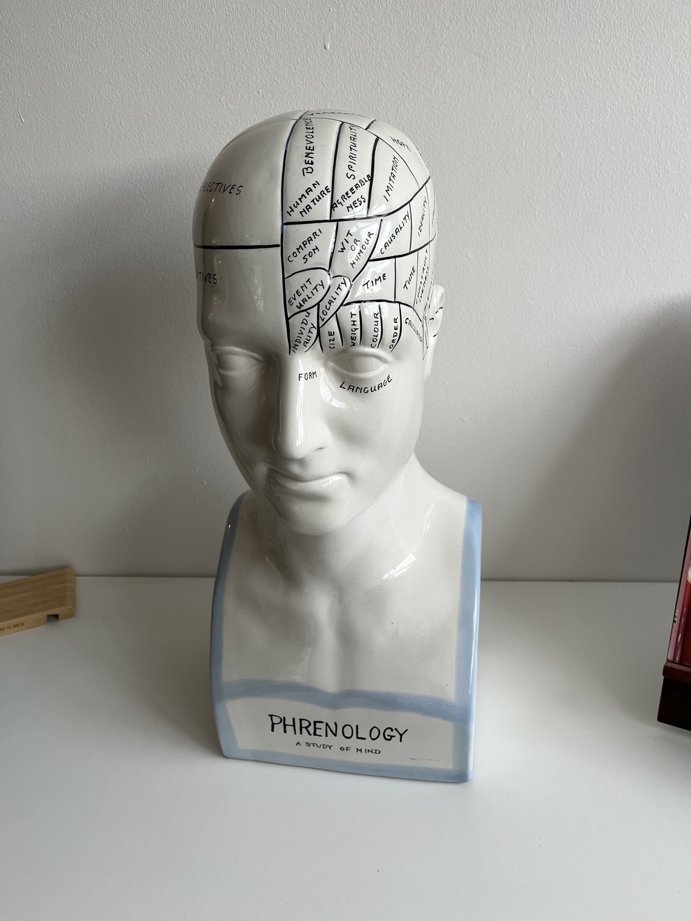 A phrenology bust that was used by quacks and pseudo scientists to explain human intelligence and behaviour. 