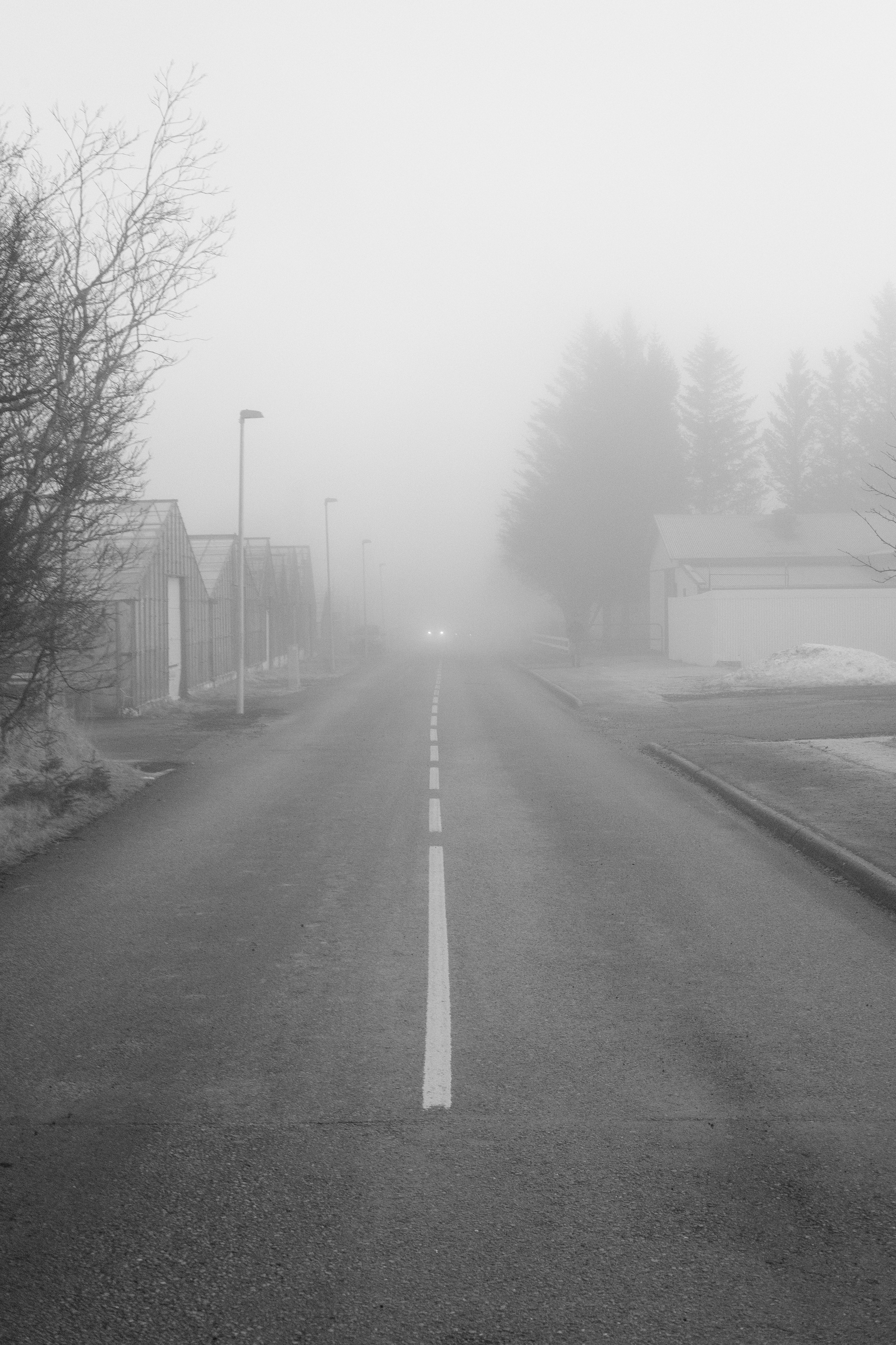 The view down a street covered with fog. The road is lined by commercial greenhouses. In the distance we see the headlights of a car in the fog.