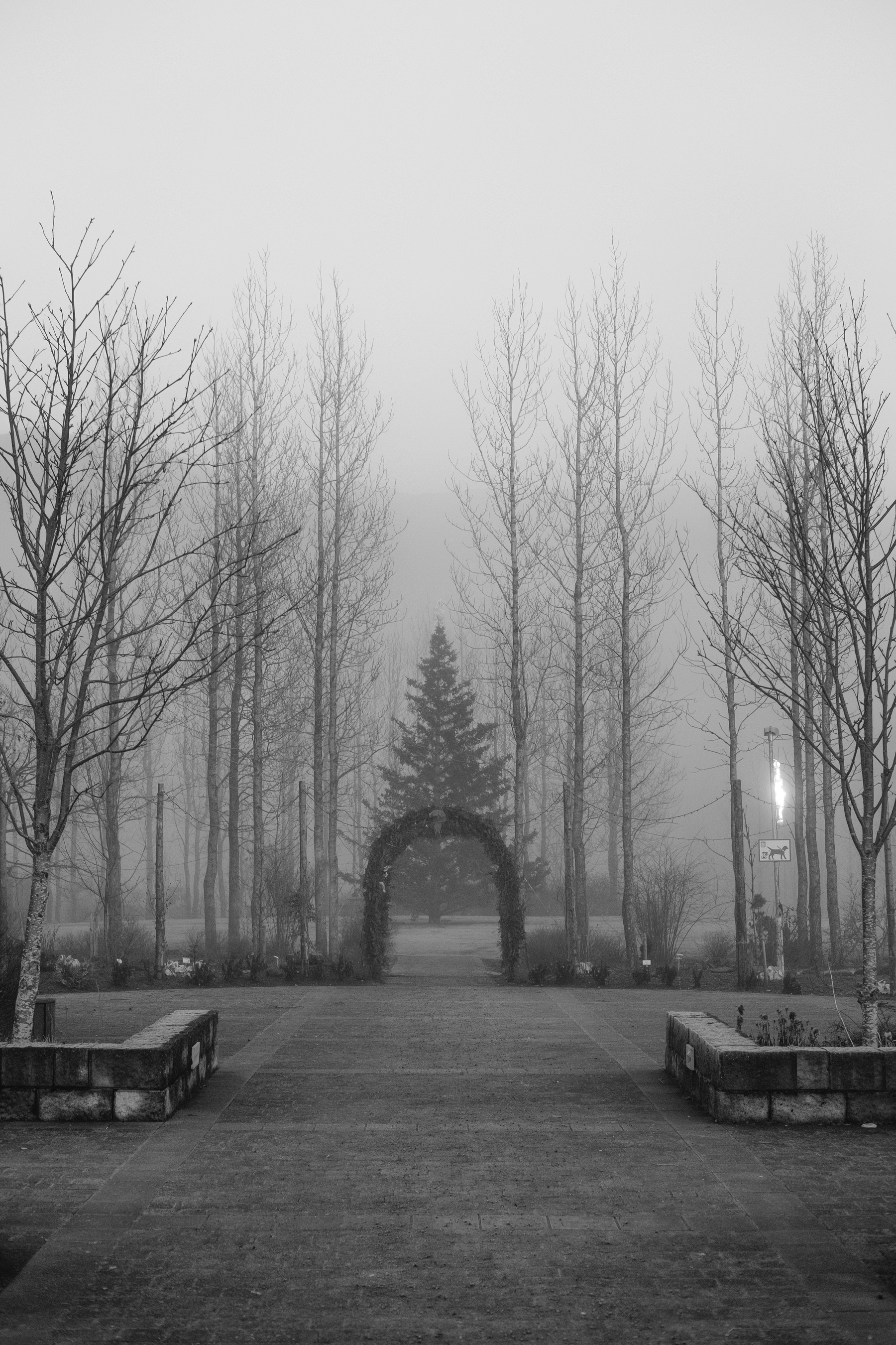 The entrance to the small park in Hveragerði, covered in fog.