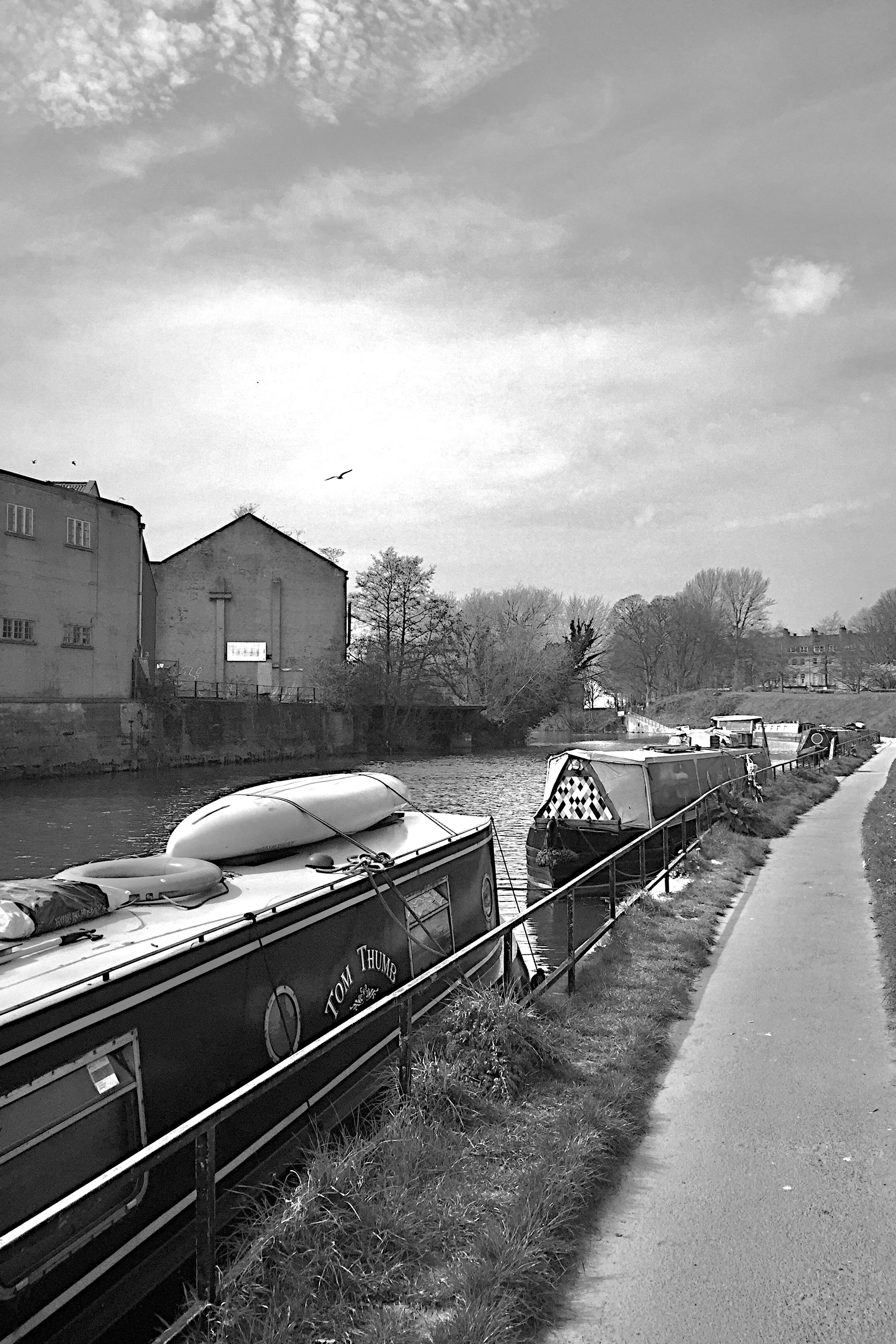 By the river that runs through Bath, UK. It’s black and white and a gull hovers over one of the houses