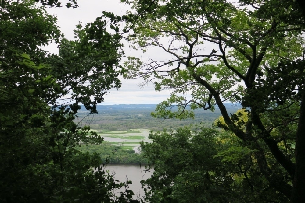 A scenic view of a river and fields framed by lush green trees.