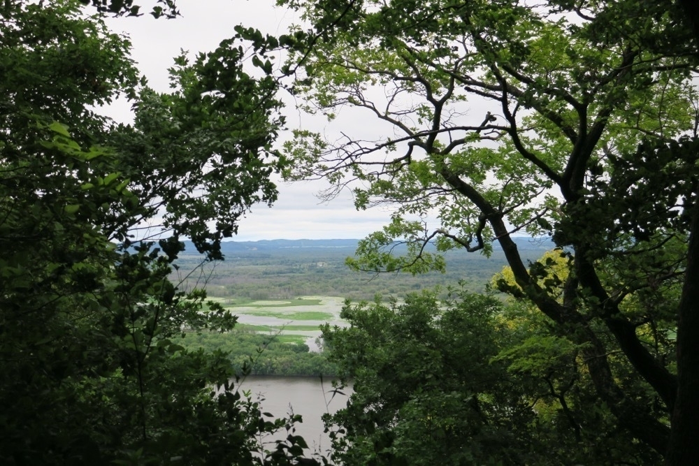image-001.jpg