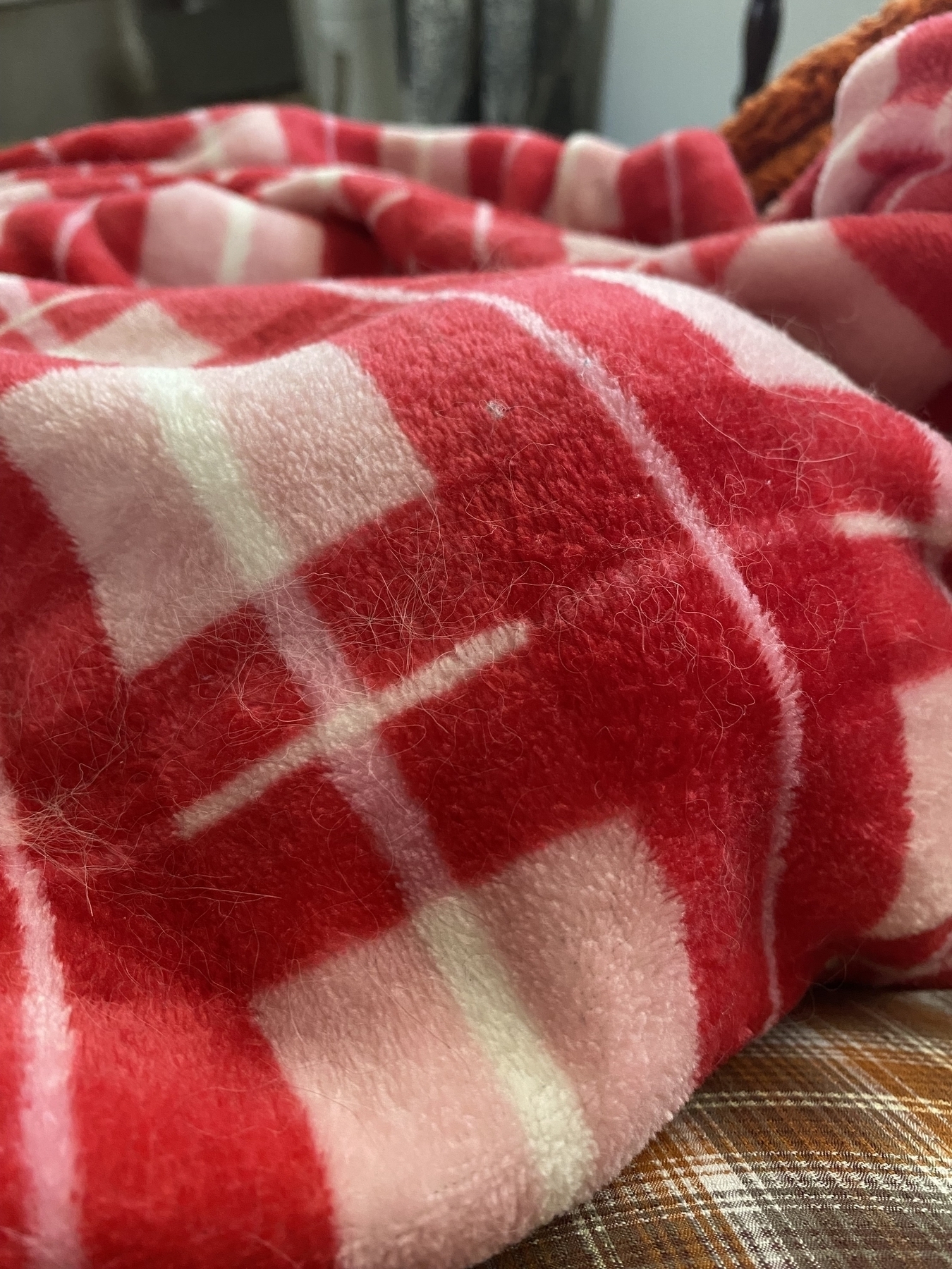 A blanket with white, pink, and dark pink stripes covering a kitty cat named Flynn.