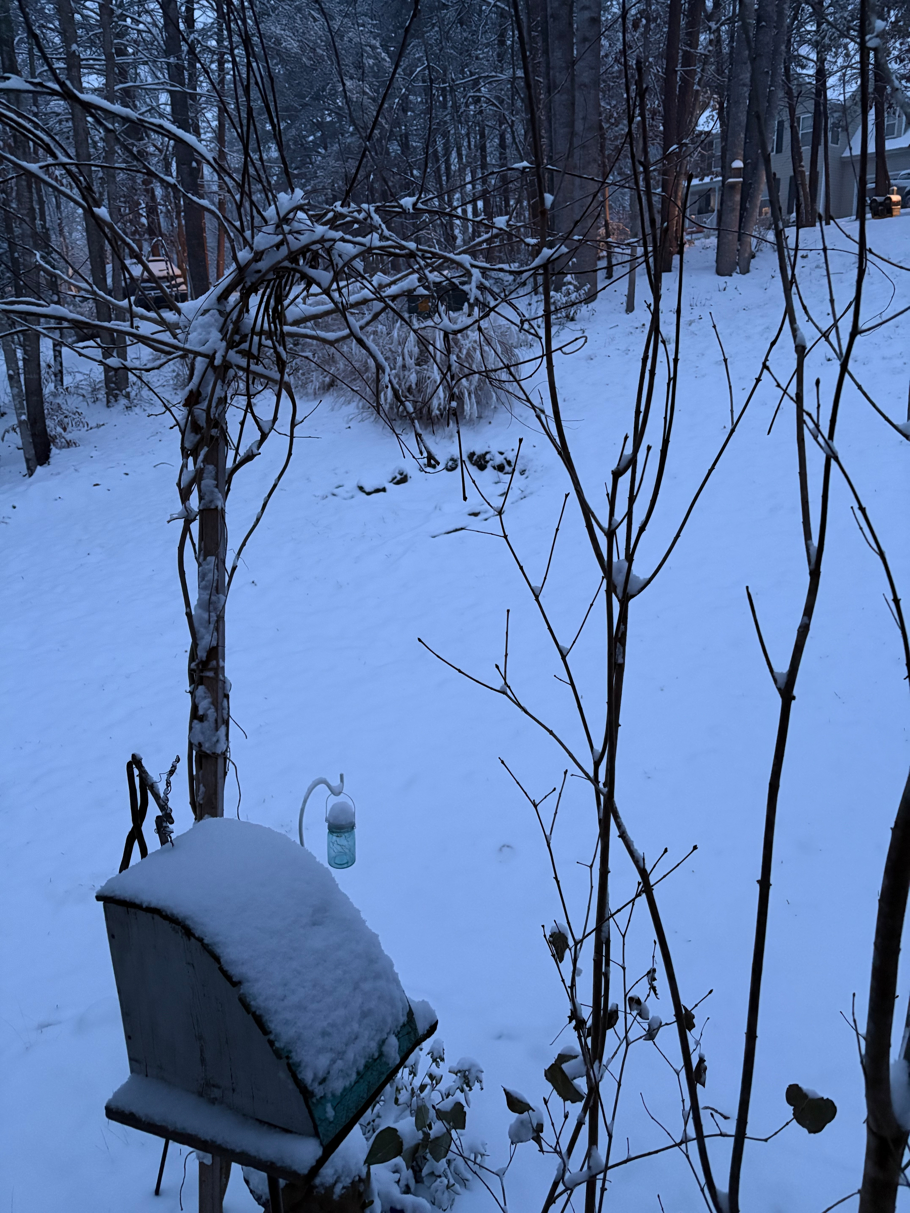 Picture of the snow in our front yard.