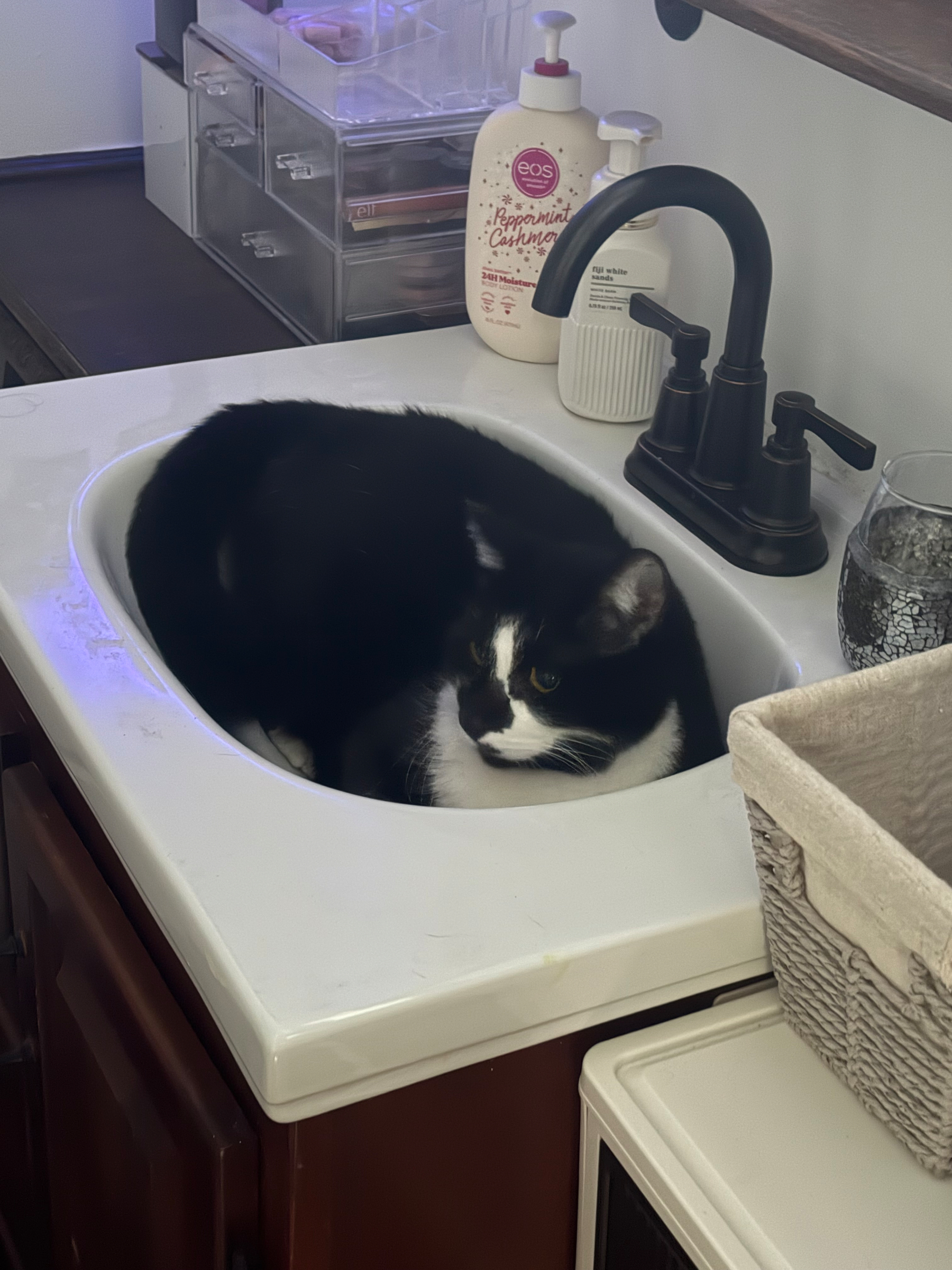 Lucky Duck, our daughter’s kitty, in a bathroom sink.