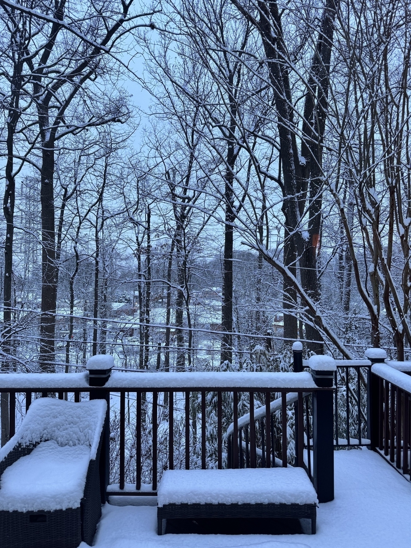 The view from my back deck. Fresh snow (about 4-5 inches) has accumulated on the deck, railings and lawn furniture in the foreground. The bare trees just beyond the deck are also snow covered, and you can see a hint of other houses in the background.