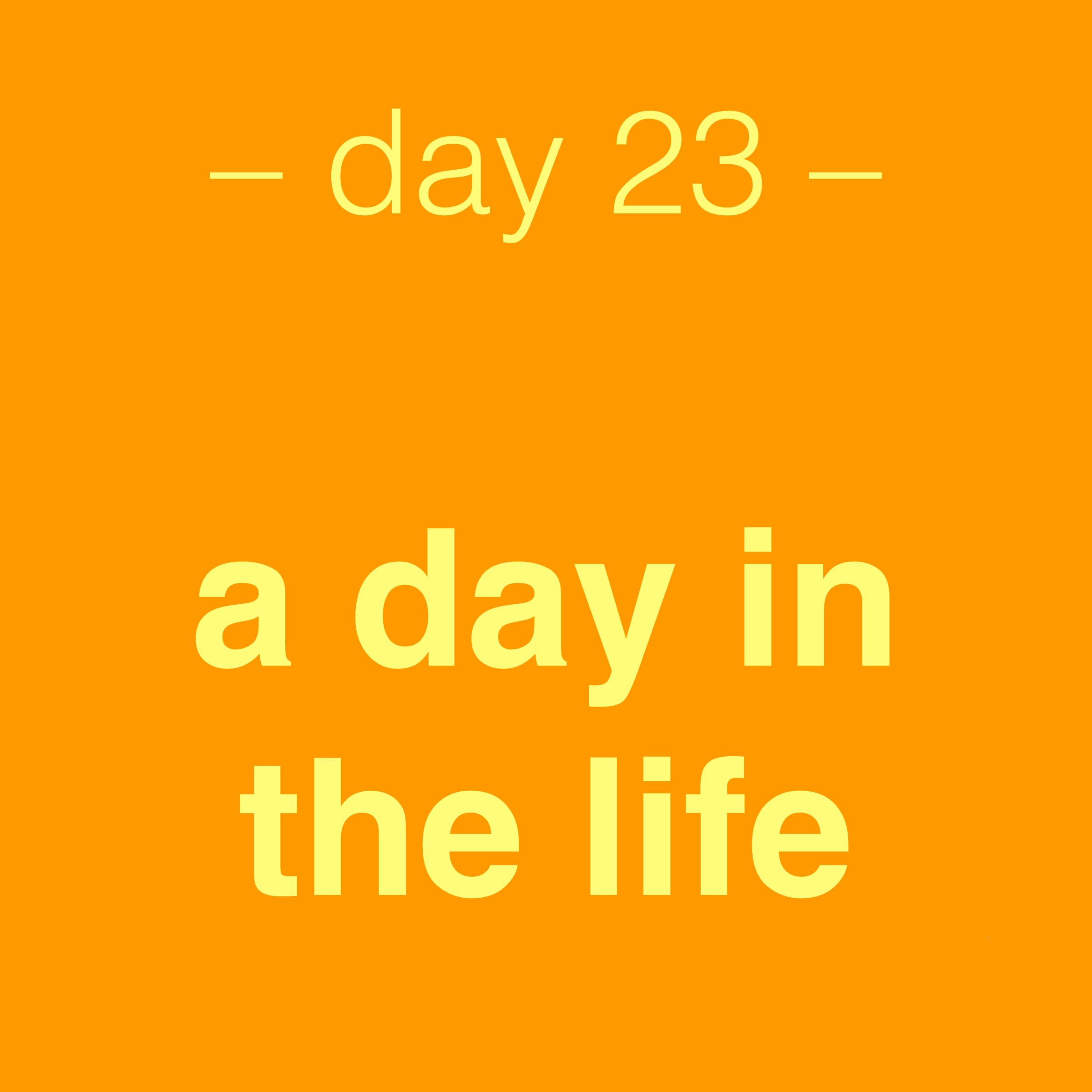 day 23- a day in the life