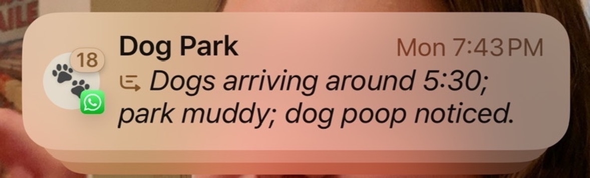 Screenshot of a notification from a What’s App group.