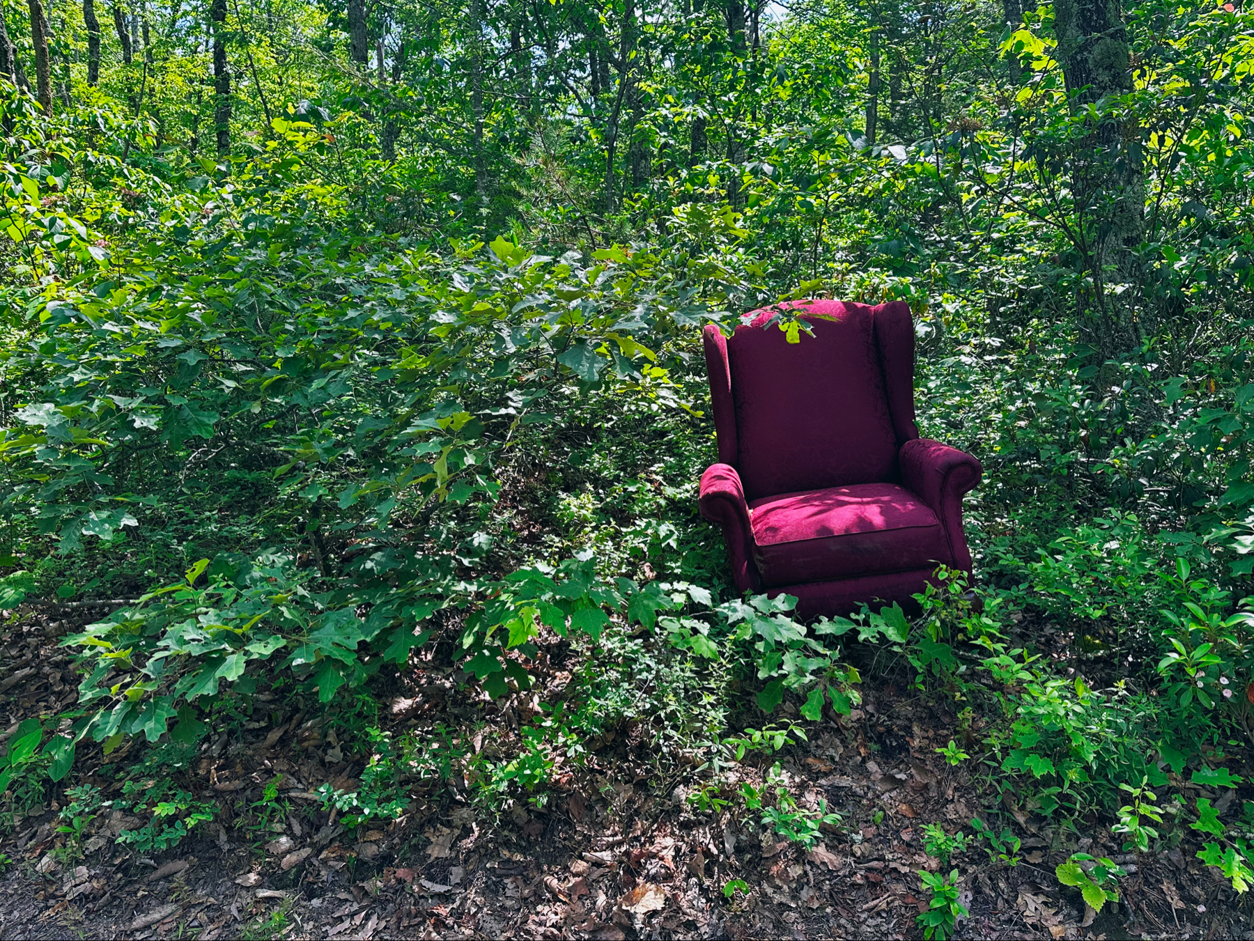 A recliner on the top of a mountain. Why?