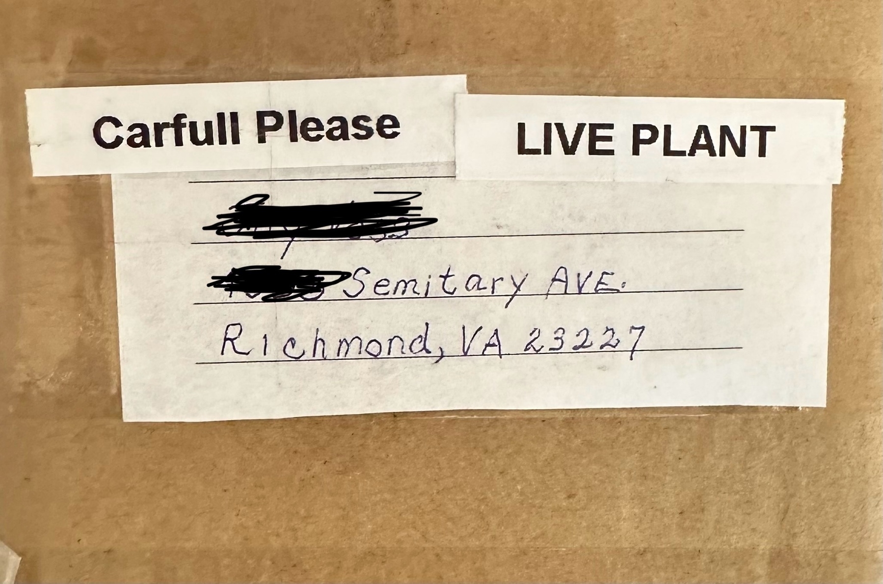 A package addressed to “Semitary Avenue” with a warning affixed reading “CARFULL PLEASE LIVE PLANT”