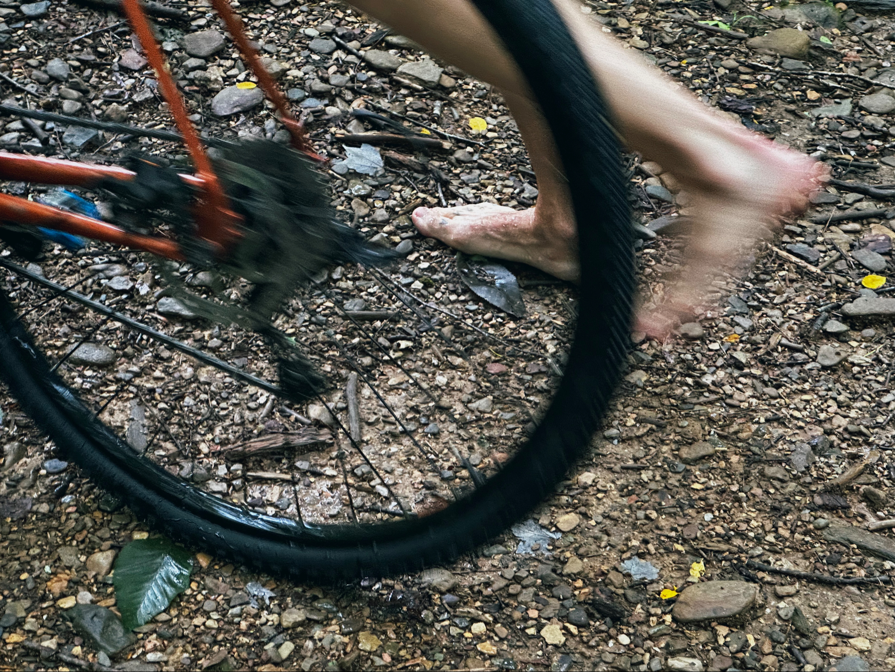 Bare feet and a bicycle after a creek crossing.