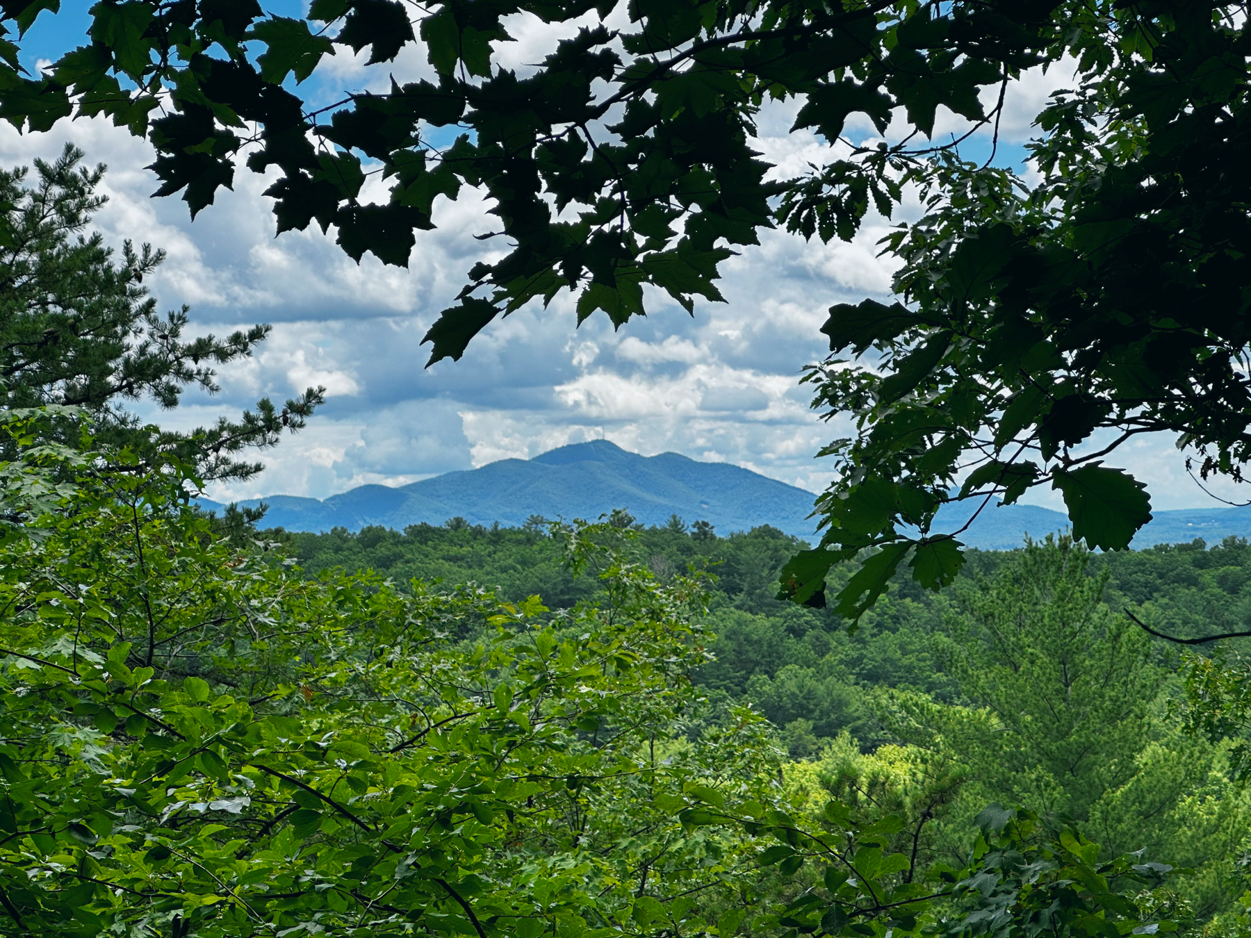 The Blue Ridge Mountains in the background, forest for as far as the eye can see in the foreground.