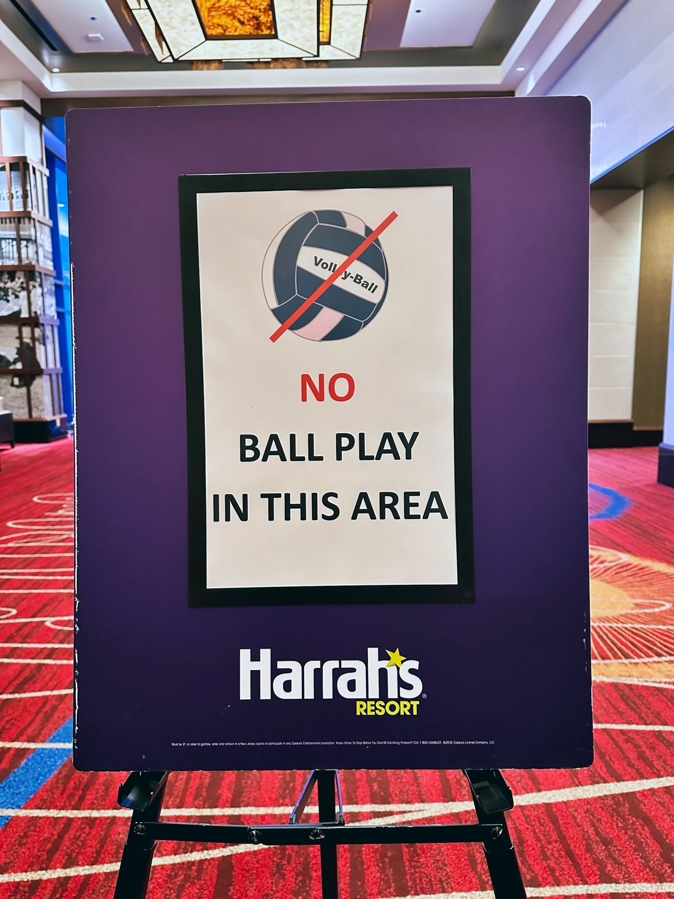 A sign that shows a volley ball with a red line through it, and below it says “NO BALL PLAY IN THIS AREA”