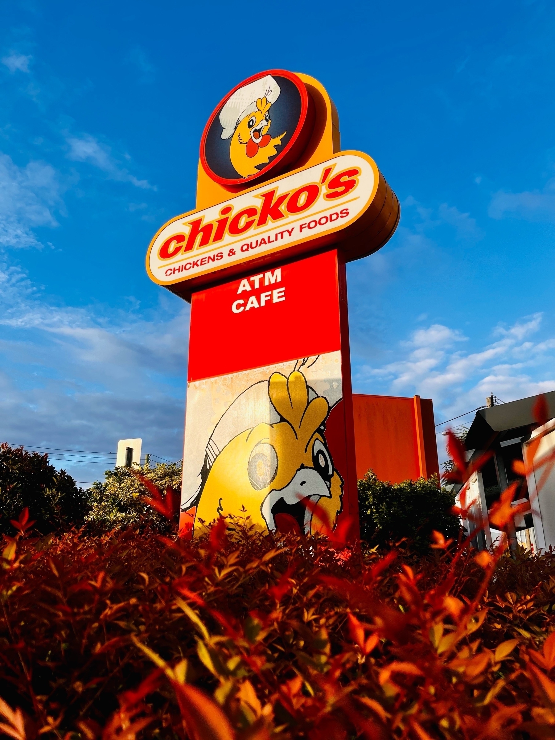 A giant sign that says Chicko's, displaying a disembodied chicken head with a chef's hat