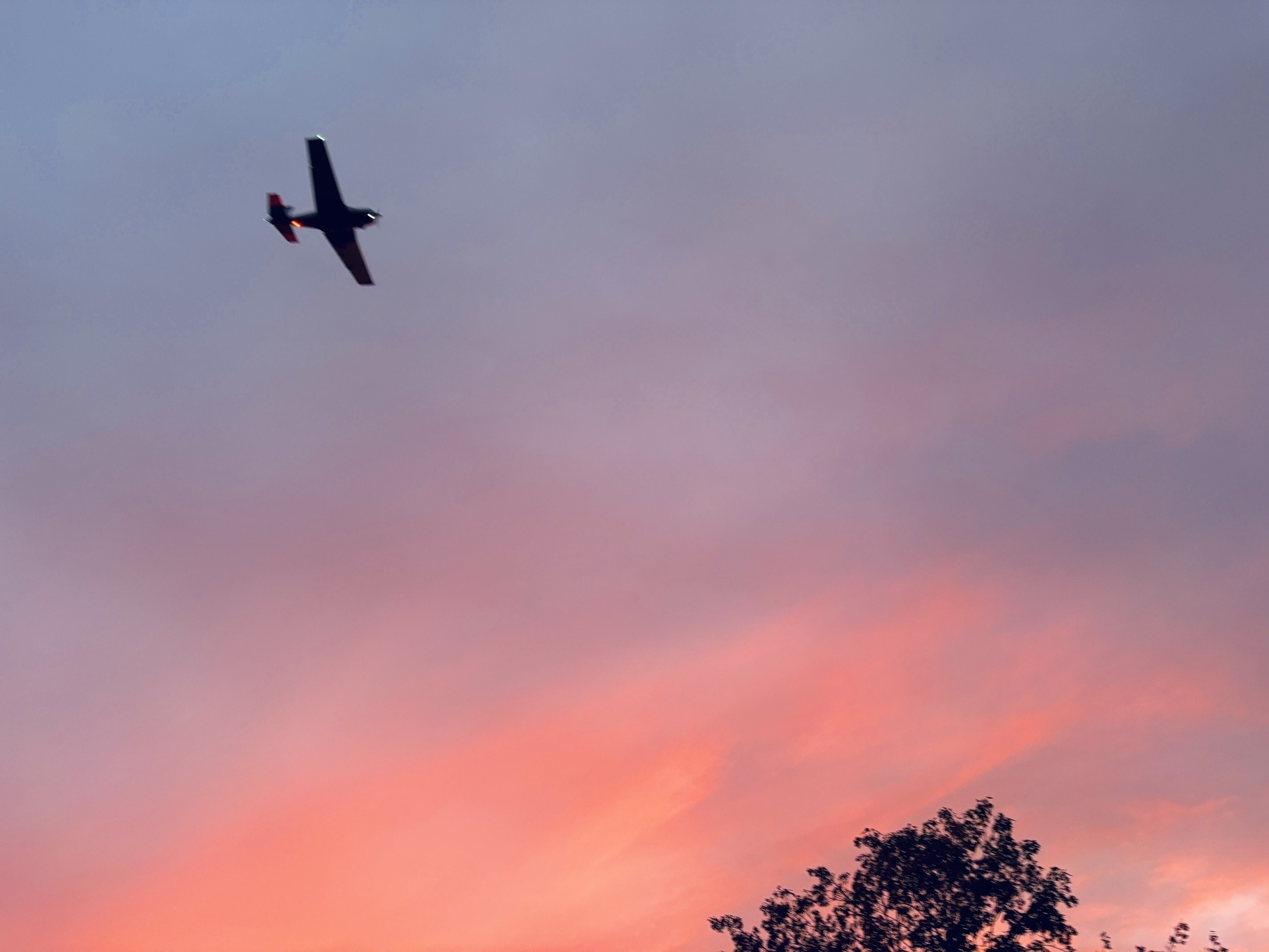 A small airplane flies against a backdrop of a colorful sunset sky with silhouetted tree branches in the foreground.