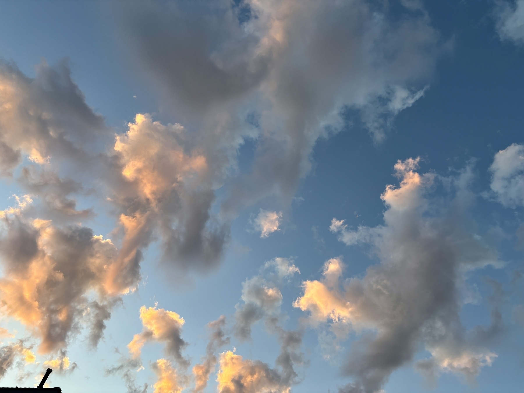 A sky filled with fluffy clouds is illuminated by a warm, golden light, suggesting a sunset or sunrise.